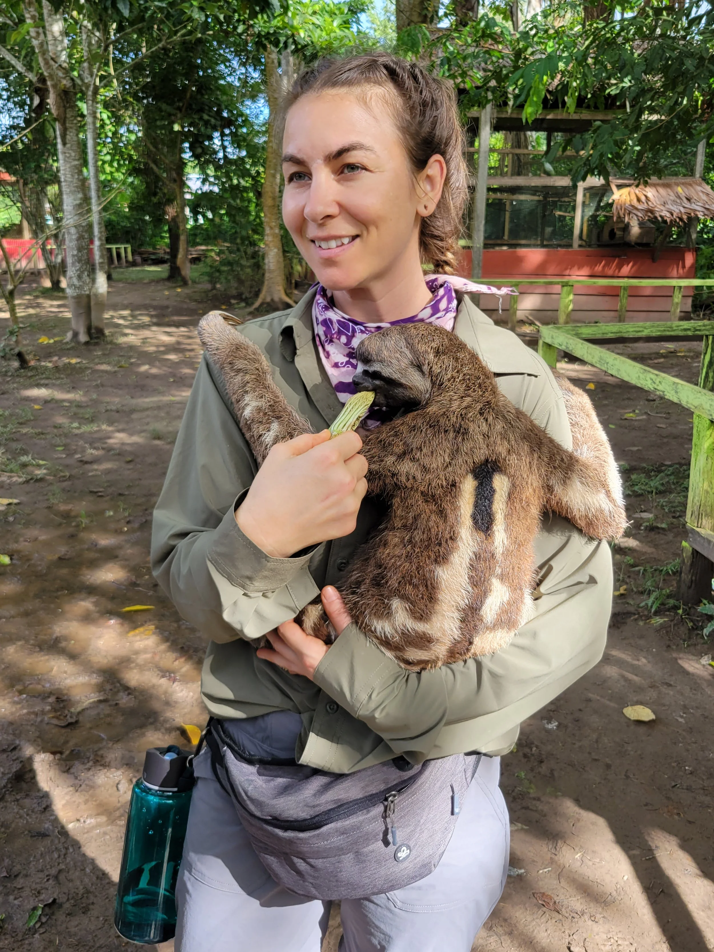 03-sloth-feeding.jpg