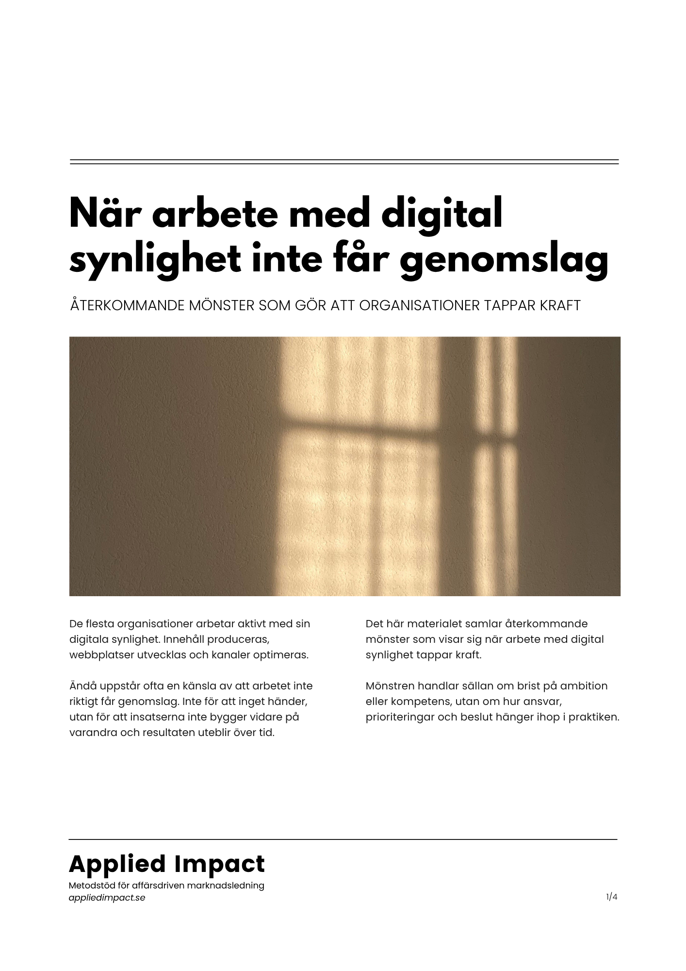 Resurs Synlighet ej genomslag omslag