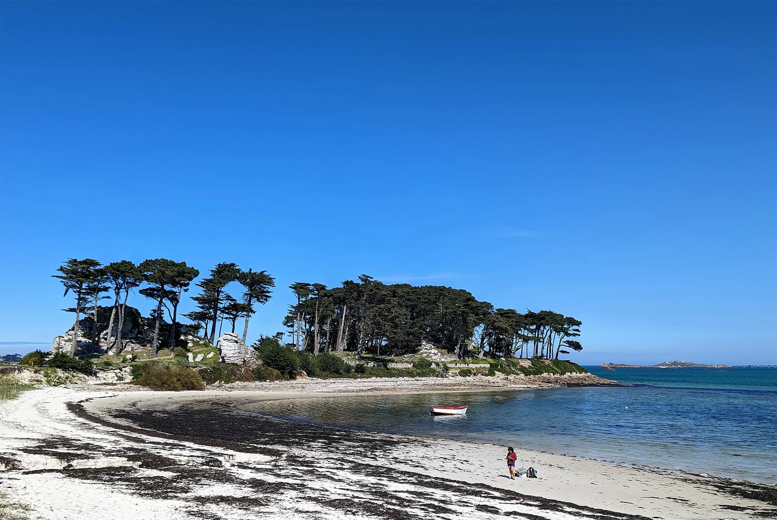 A coastal scene with a sandy beach, a person with a backpack, a small boat in the water, and a forested headland with tall trees under a clear blue sky.