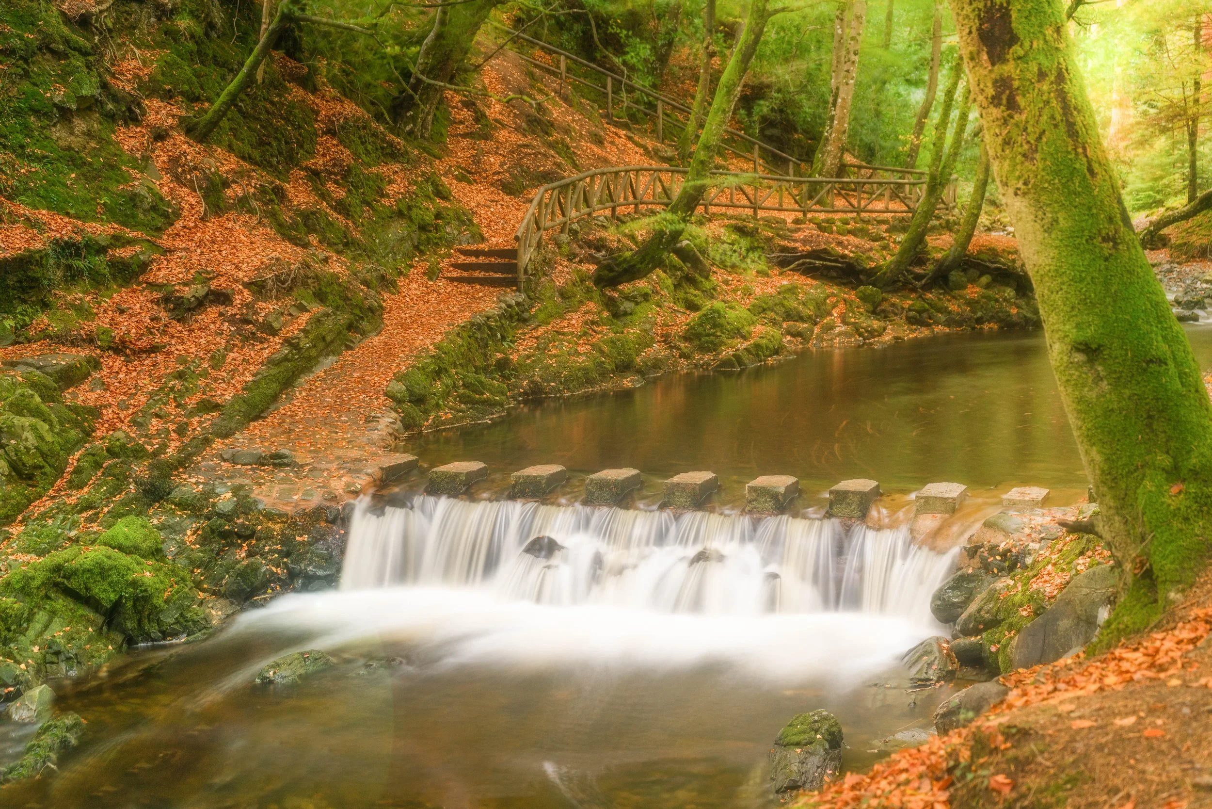 Tollymore Forest Waterfall