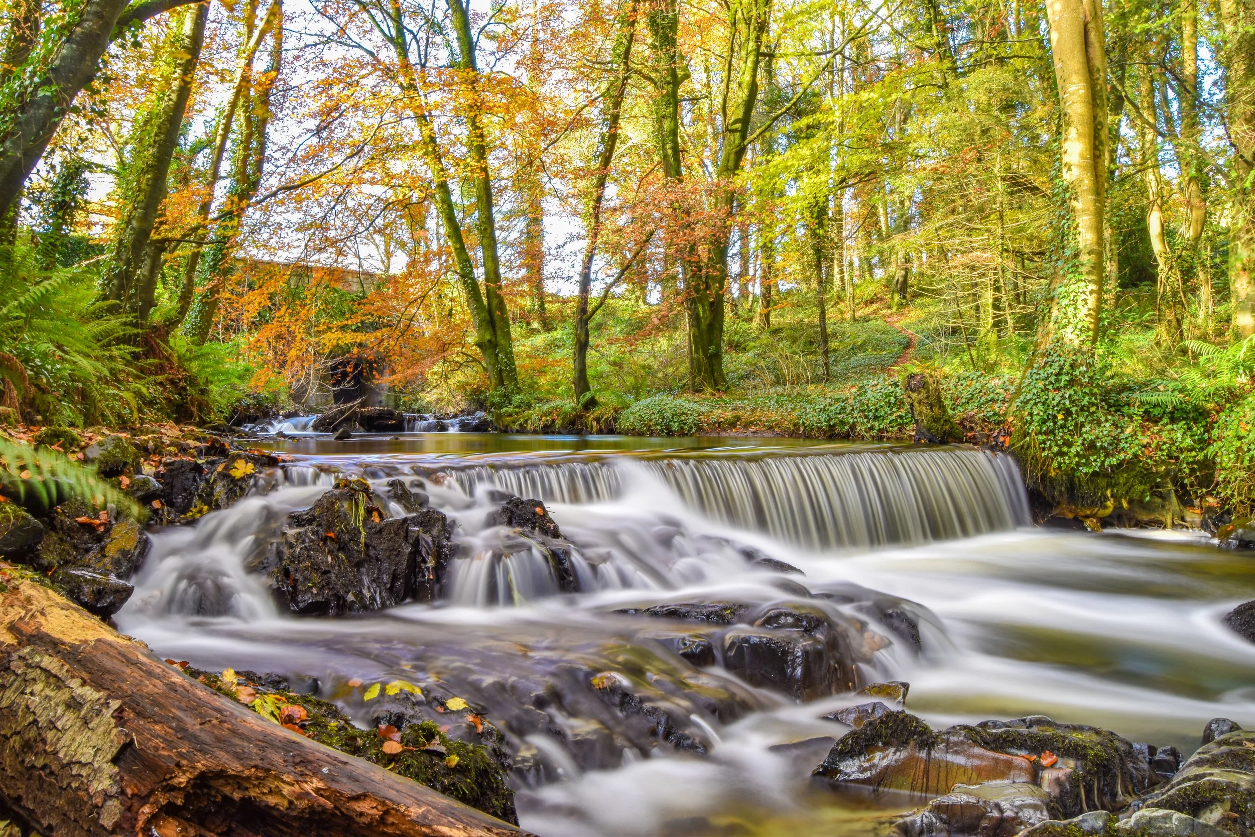 Autumn Waterfall