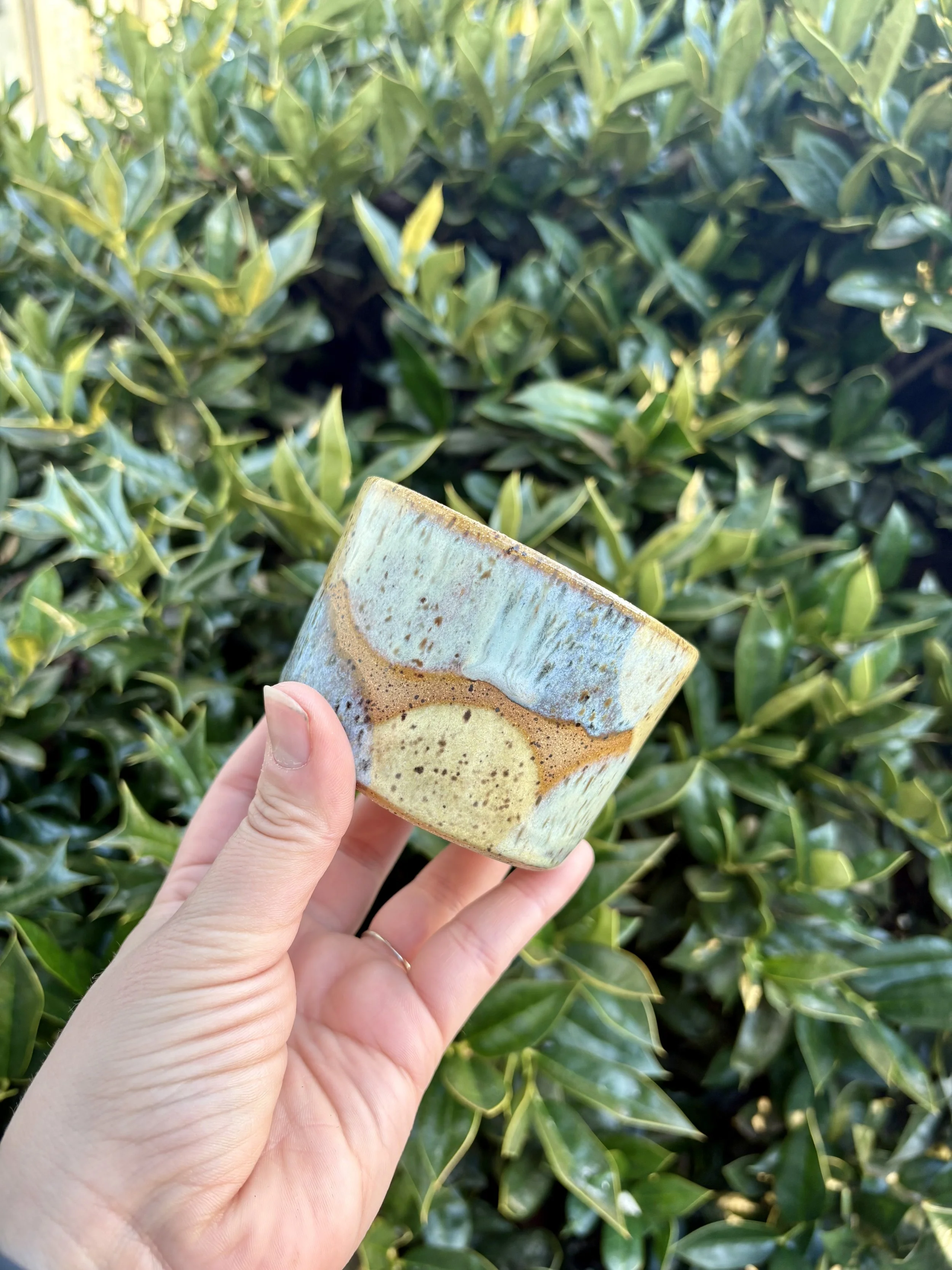 Get Out Me Swamp Planter