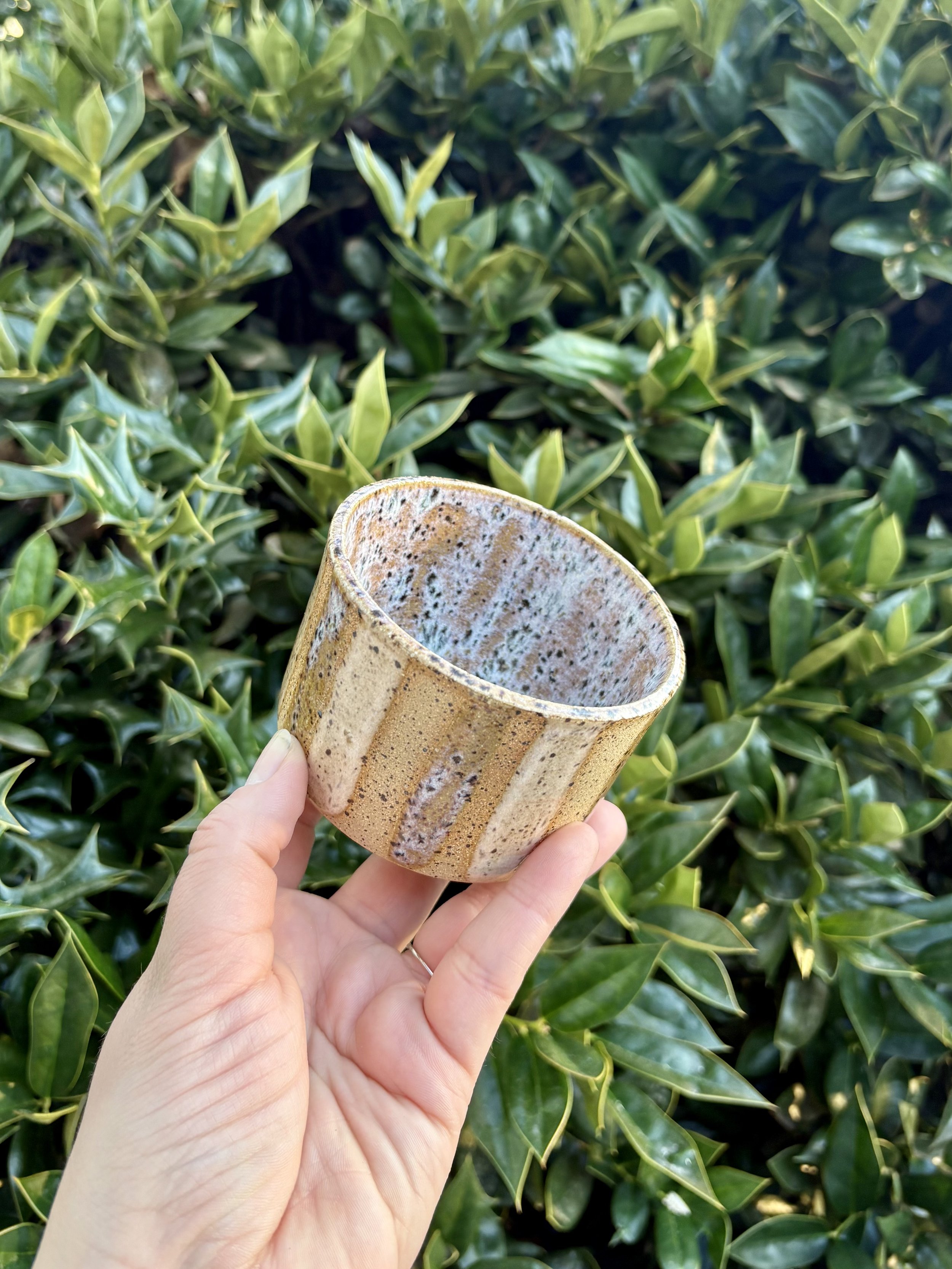 Person holding a glazed ceramic bowl in front of green leafy shrub.