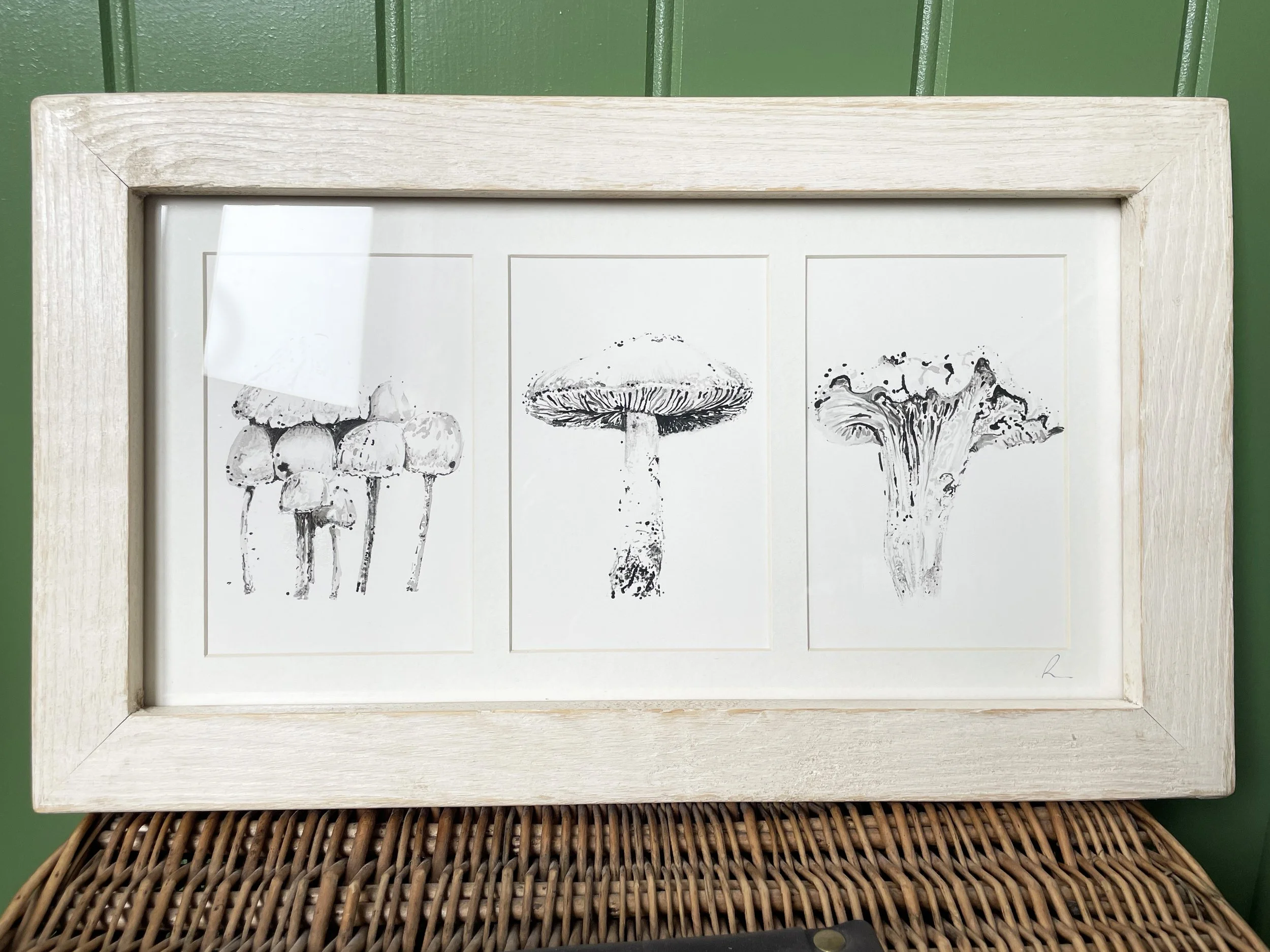 Mushroom Trio Framed Original Illustration