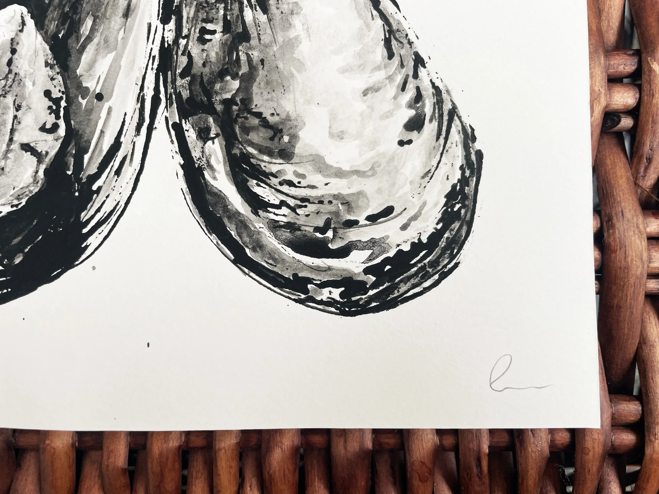 Mussels_zoom.jpg
