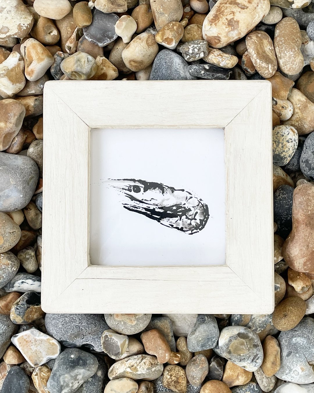 Framed Square Prawn Print