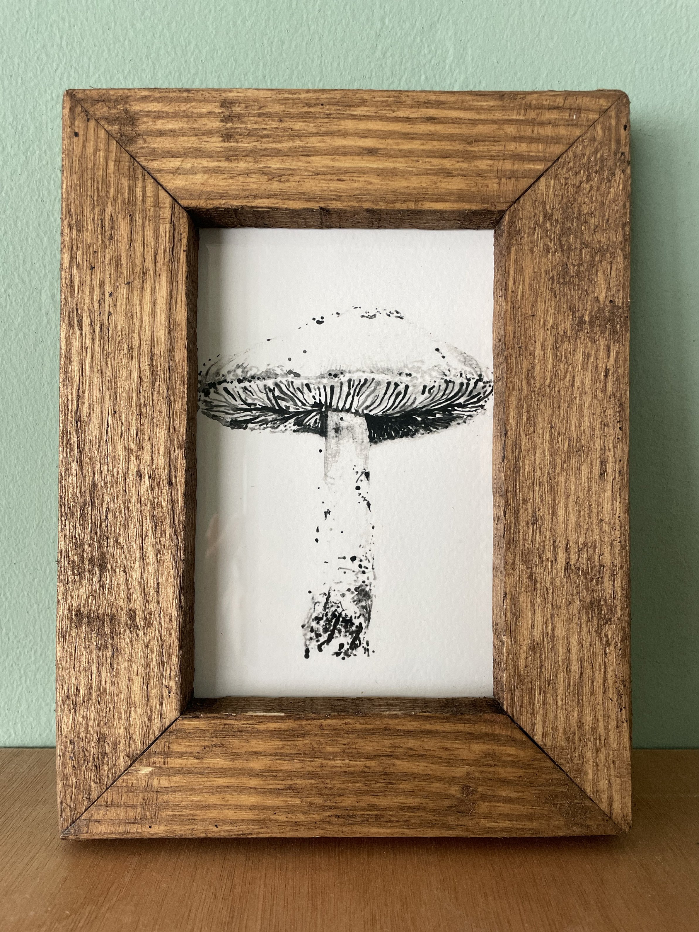 Shiitake Mushroom 6x4 Print Only