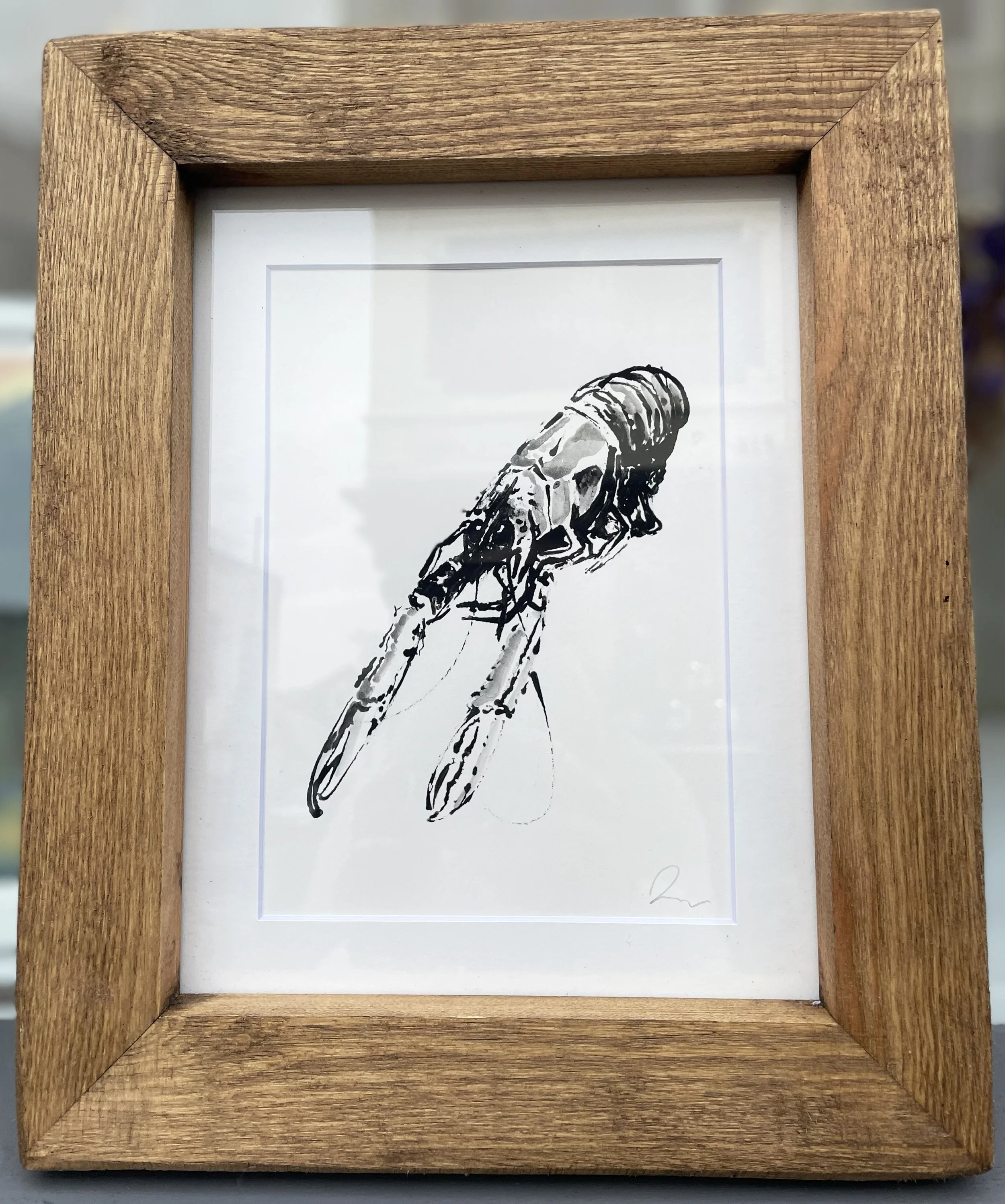 Framed Langoustine Original Illustration