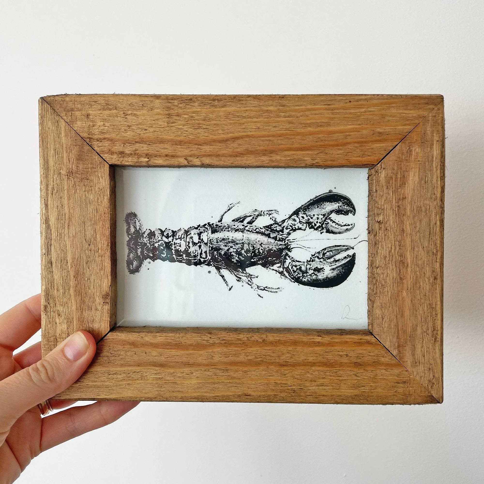 Lobster_Frame.jpg