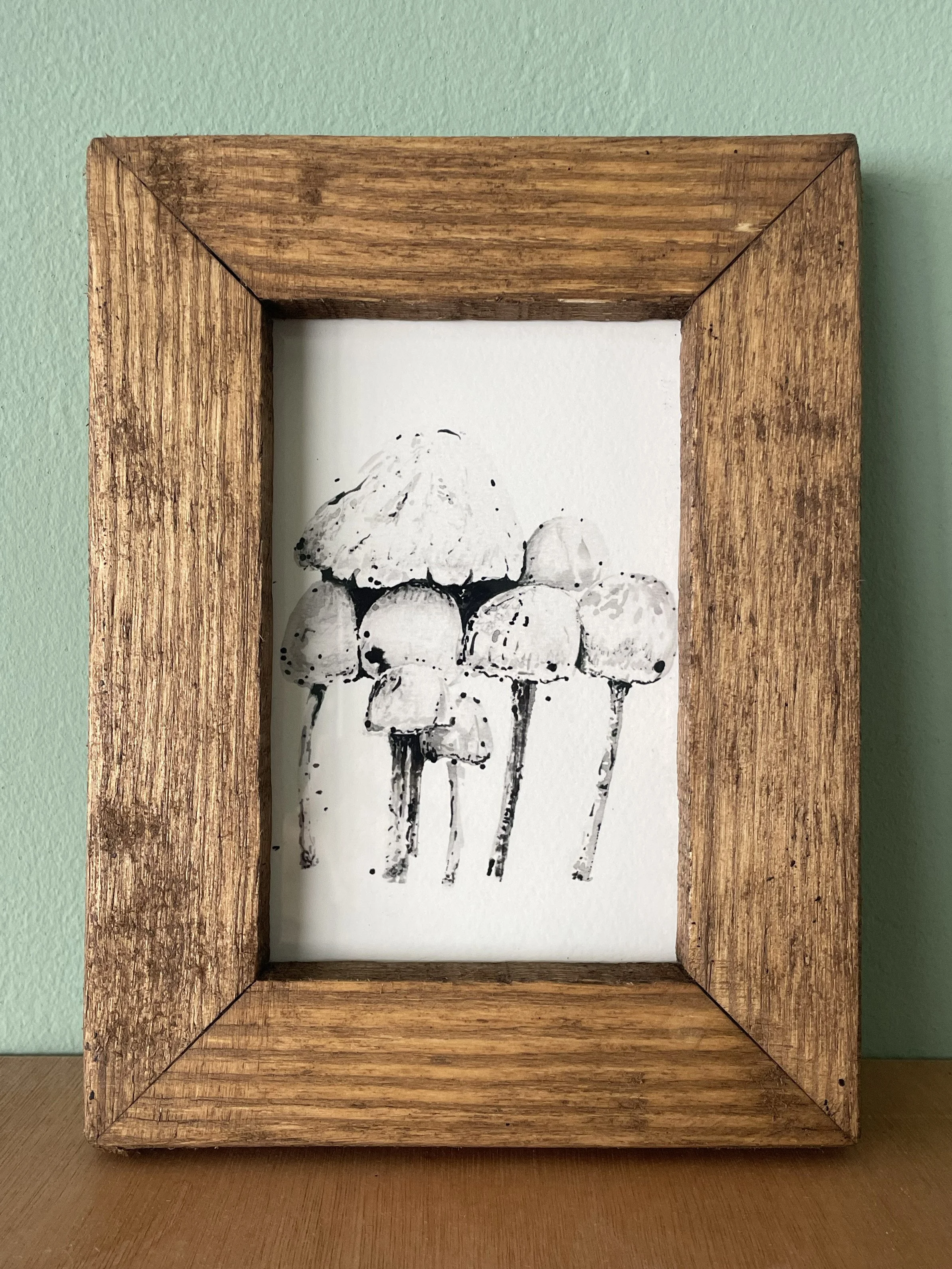 Mottlegill mushroom.jpg