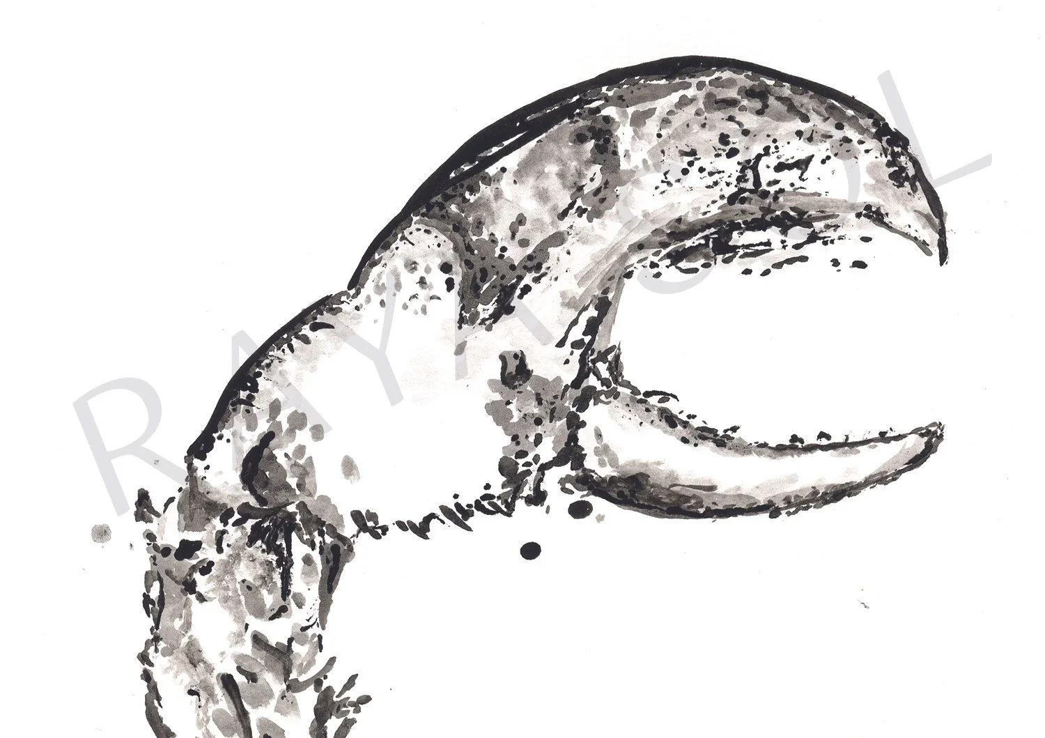 Framed Crab Claw Luxury Print