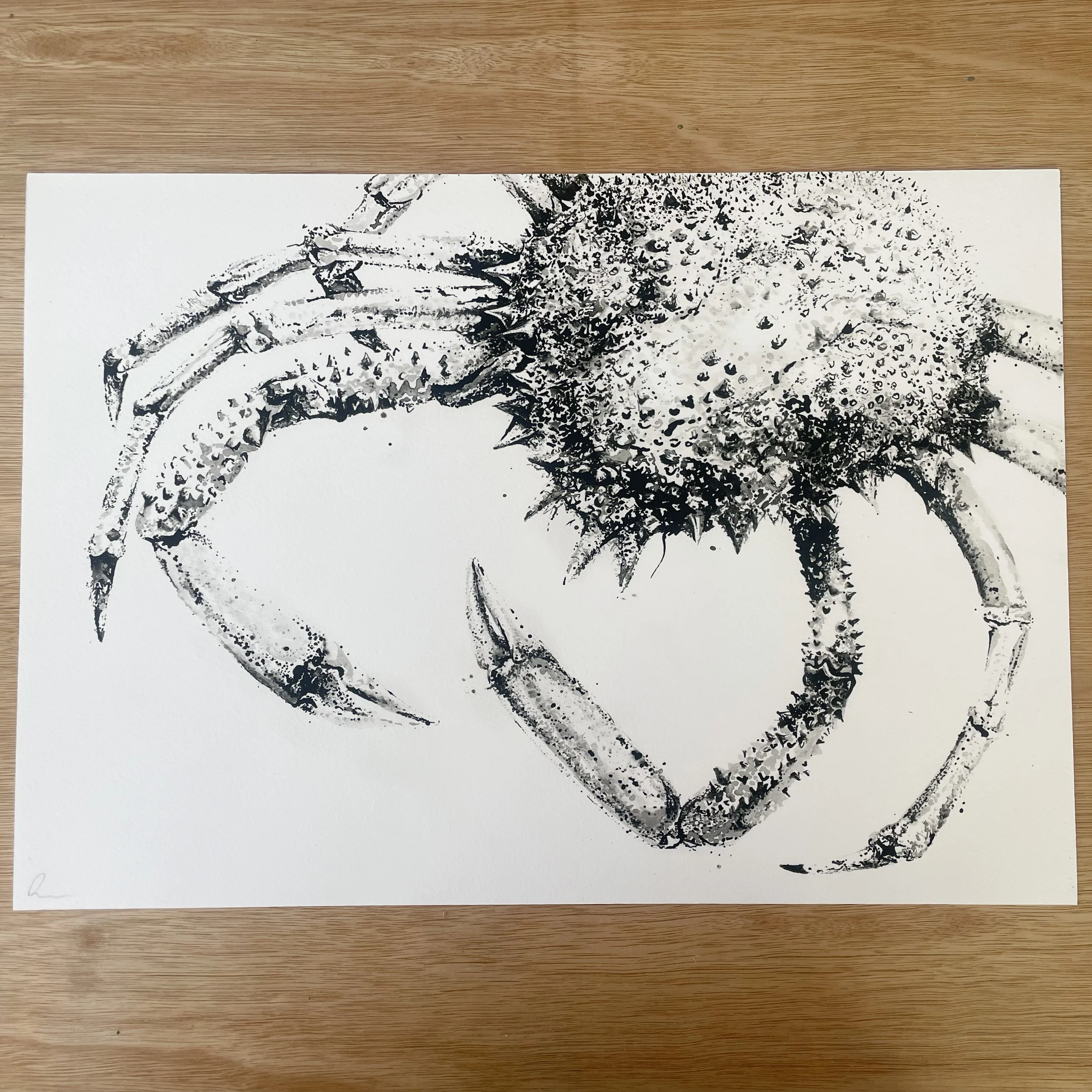 King Crab A3 Print