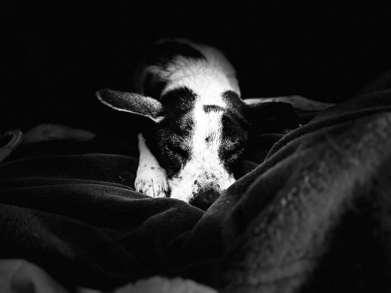 Sometimes It Looks Like This