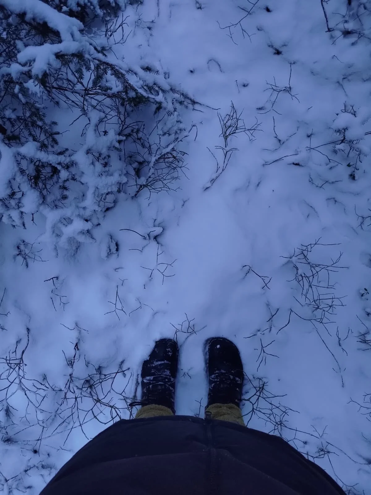 Jalat tunnustelevat rauhoittavaa aistiharjoitusta lumella