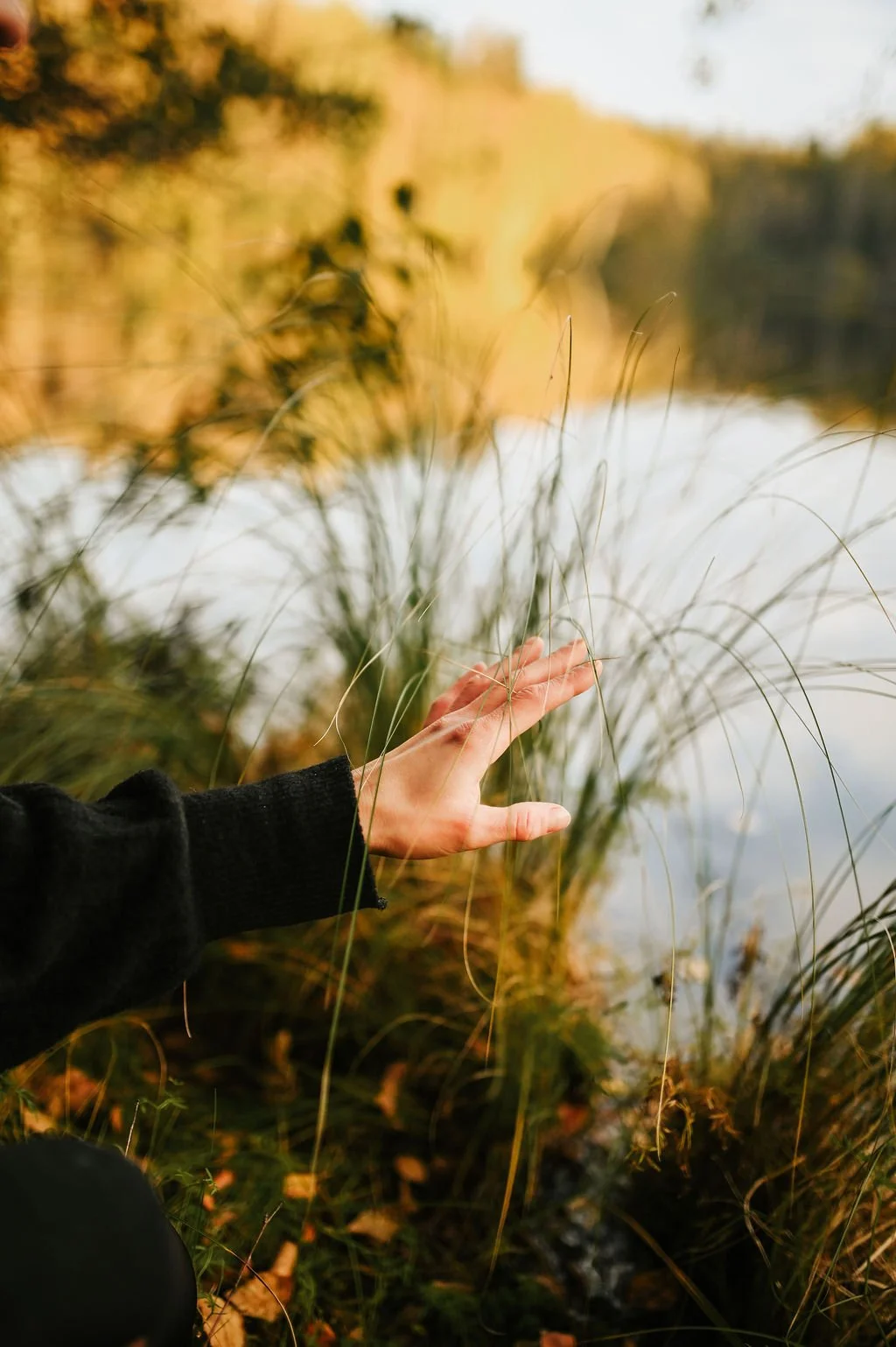 Hidasta ja palaudu luonnon kannattelussa.