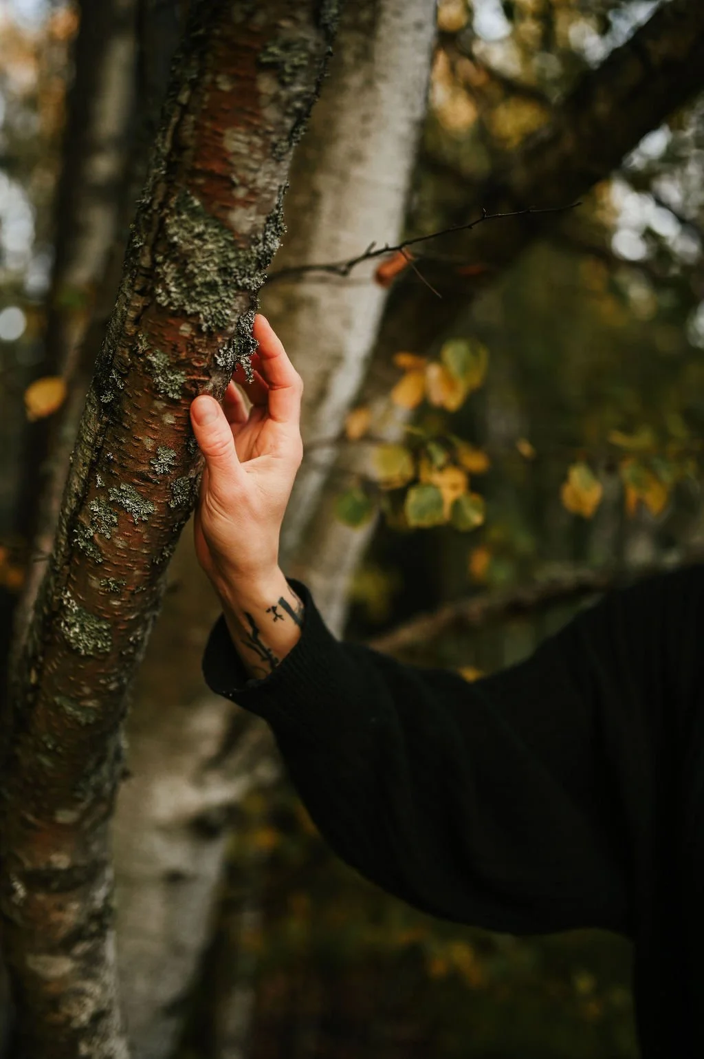 Hyvinvointia tukeva retki Pirkanmaalla