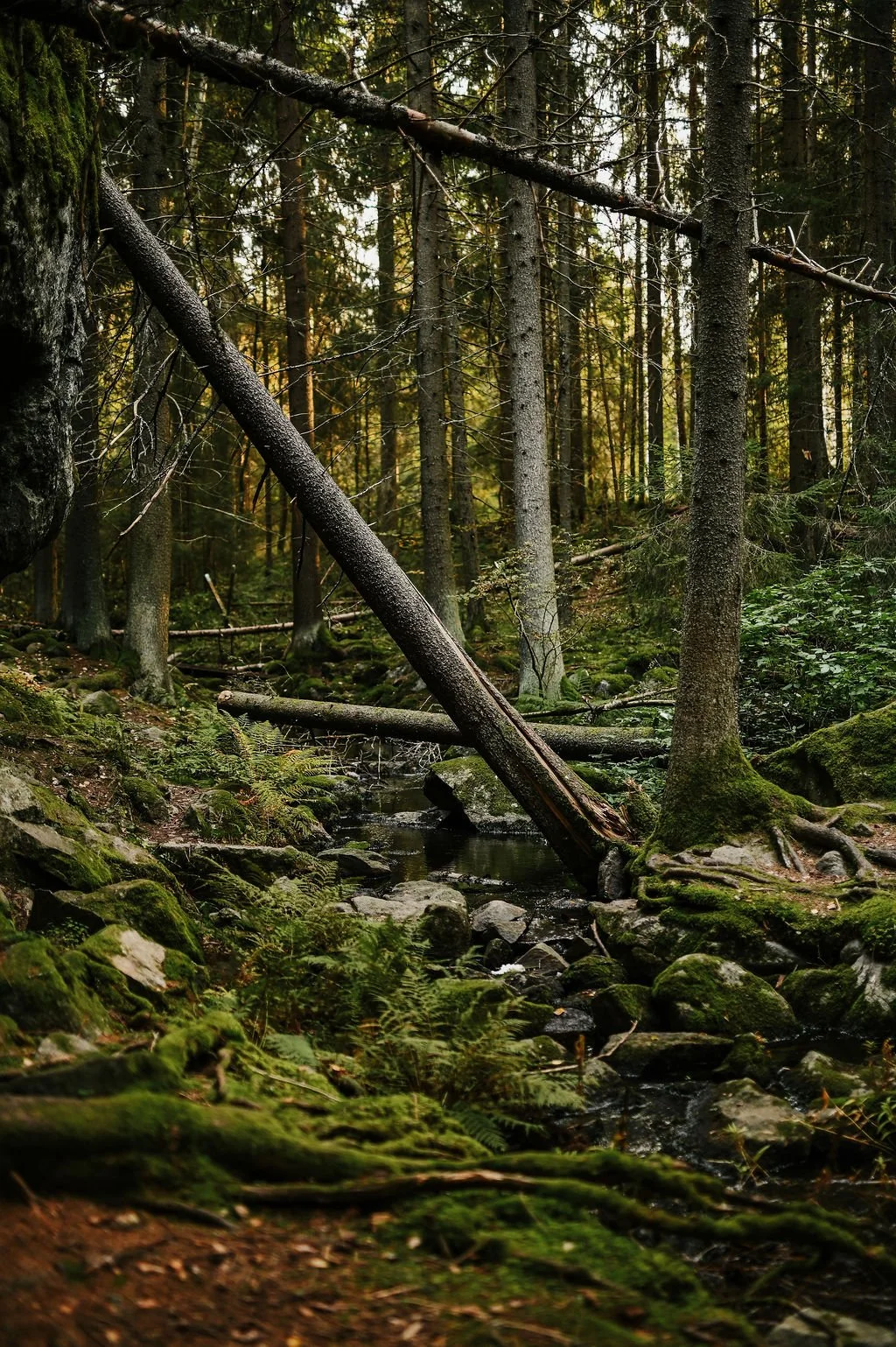 Työyhteisölle suunnattu luontohetki, joka palauttaa läsnäolon tähän hetkeen.