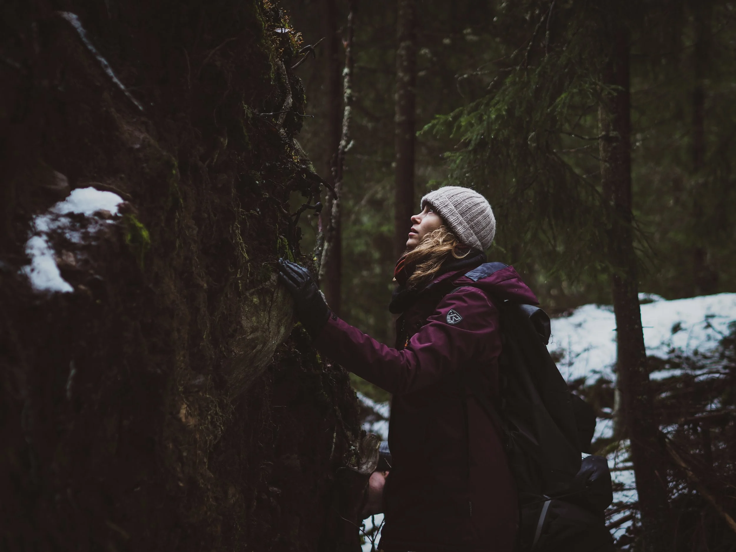 Työyhteisö osallistuu ohjatulle terveysmetsäretkelle luonnossa.