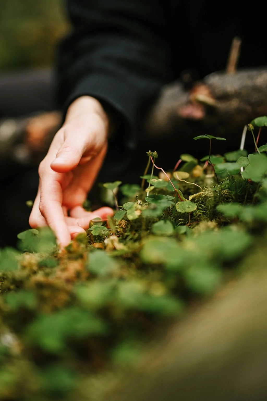 Yhteys luontoon, itseen ja toisiin luonnon rauhassa.