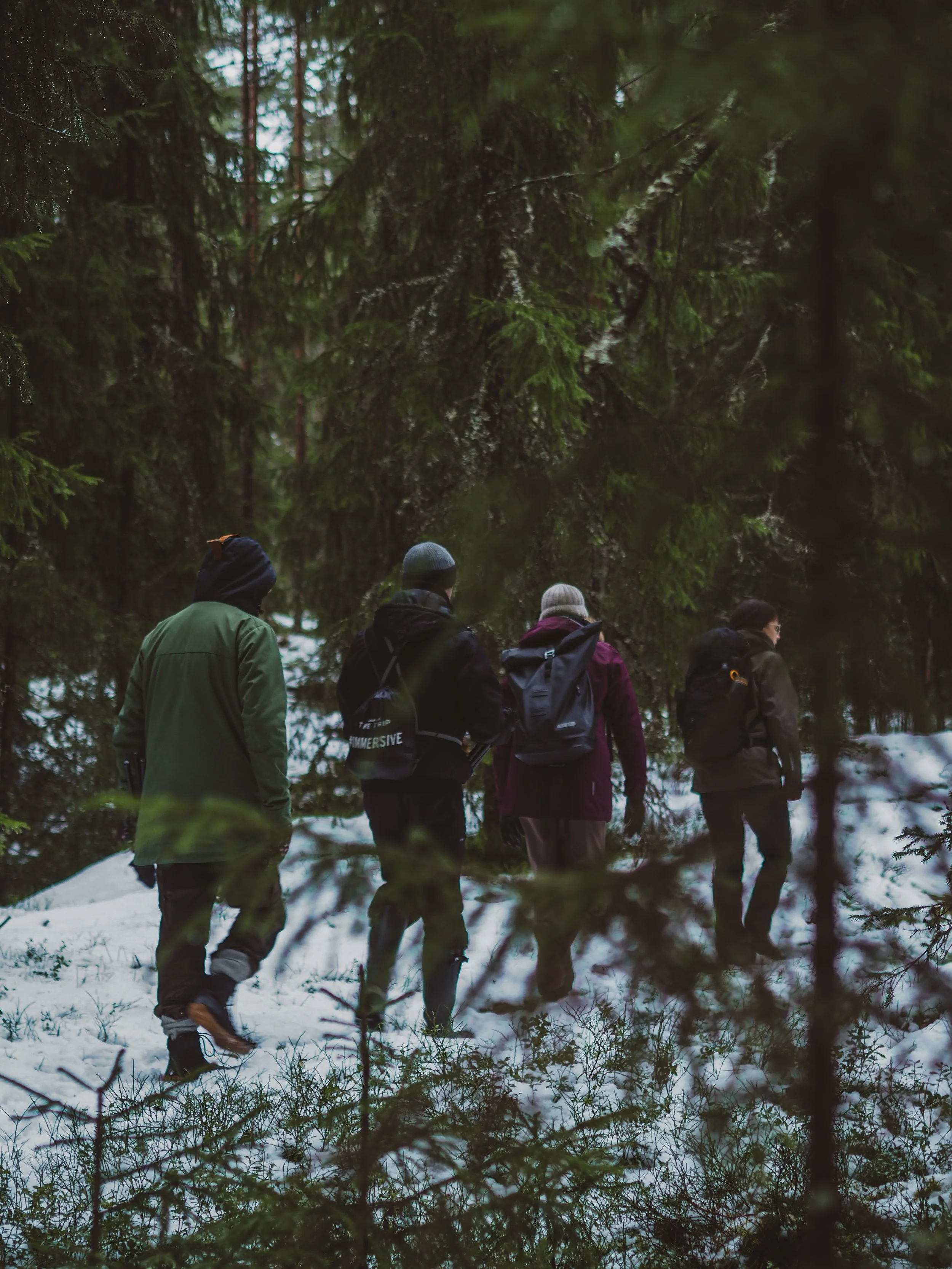 Luonto tarjoaa lempeän ja vaikuttavan ympäristön kehittämistyölle.
