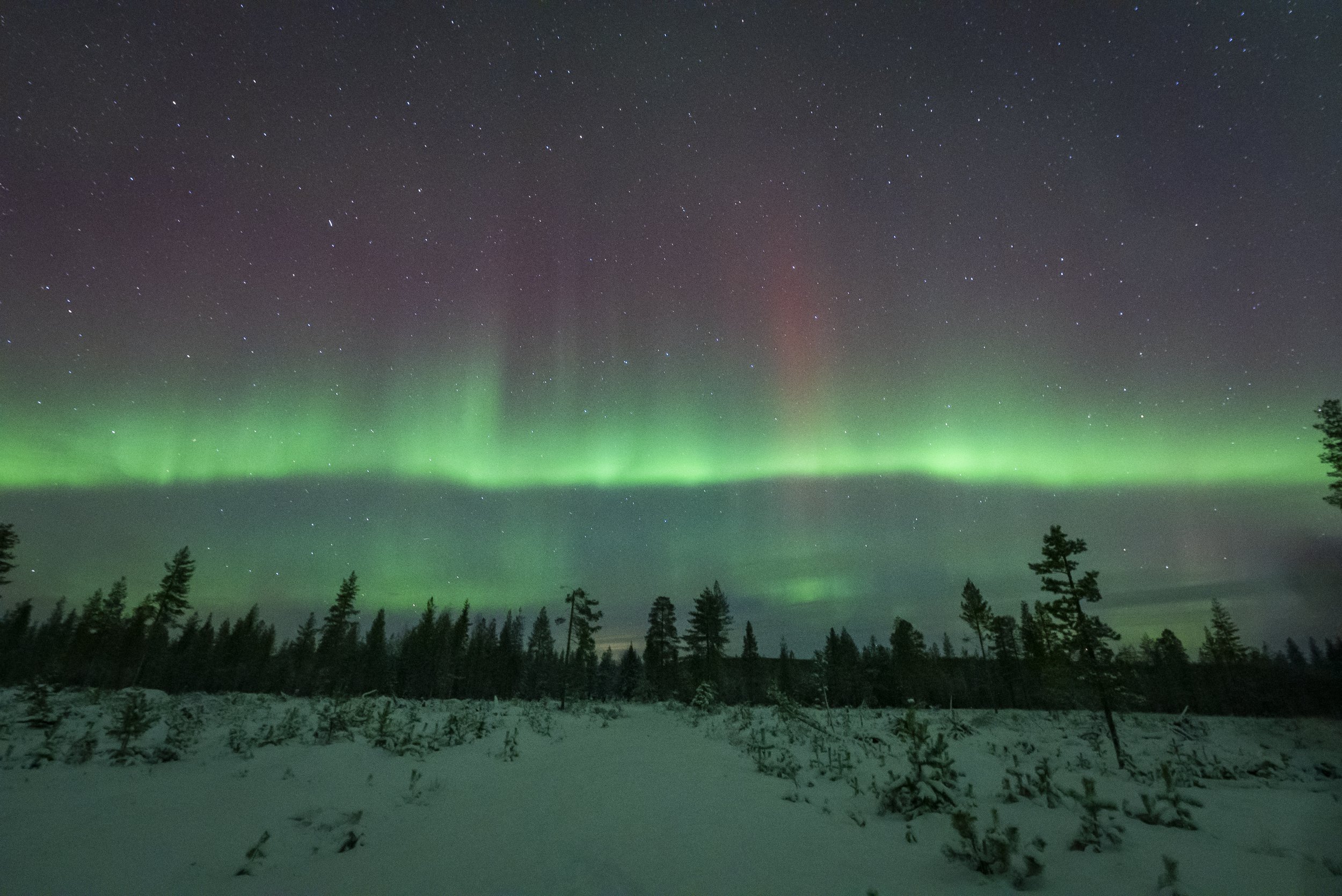 Northern-Lights-Photography-Tour_DavidC_2024-11-02_102.jpg