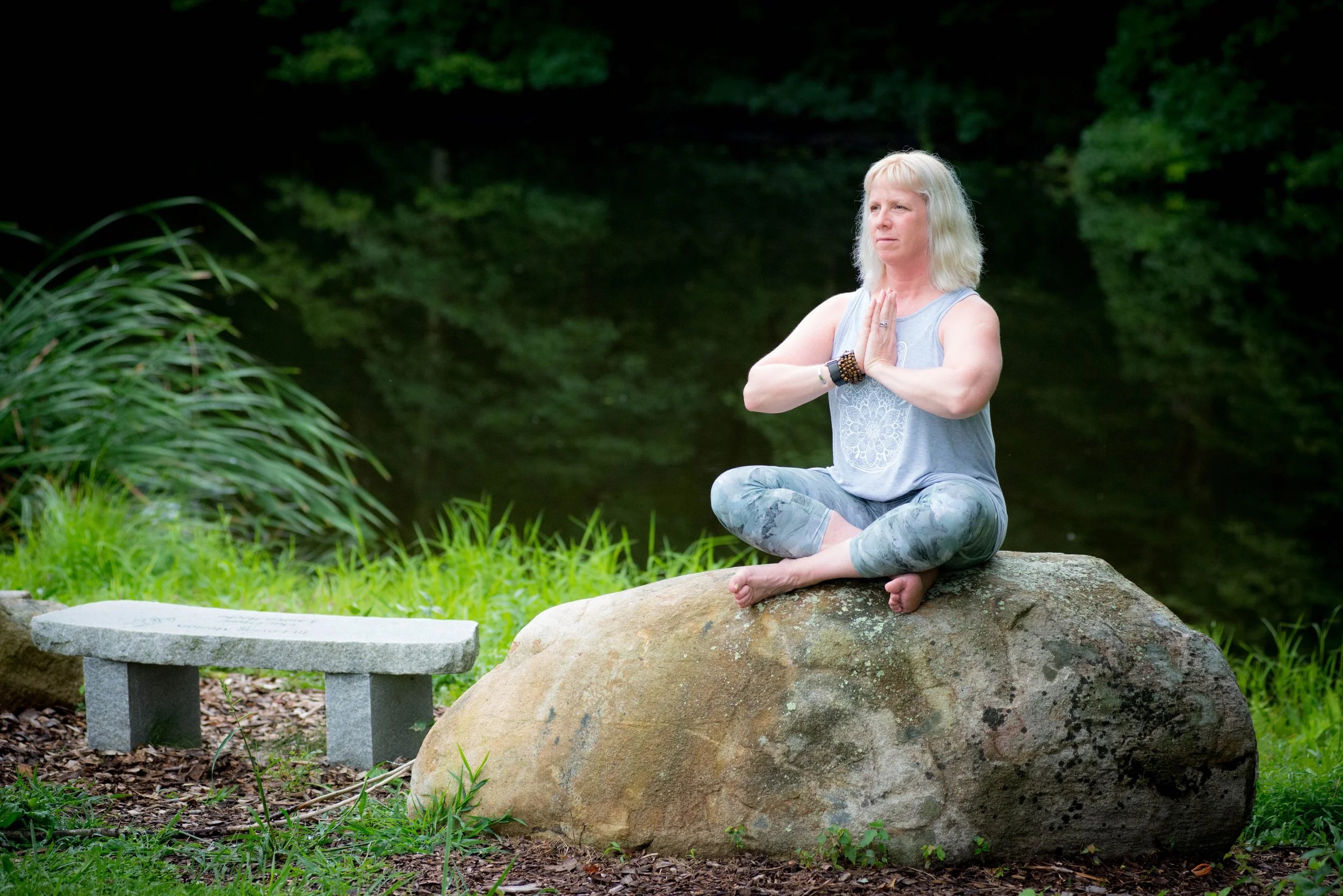 Beginner Shamanic Journey to meet your Spirit Animal