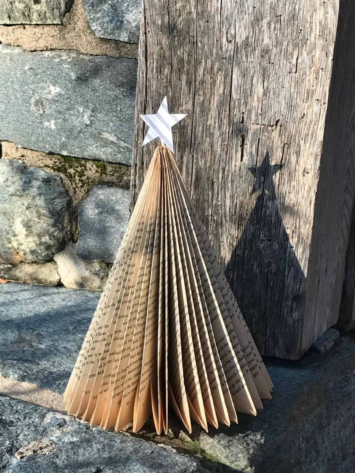xmas tree.jpg