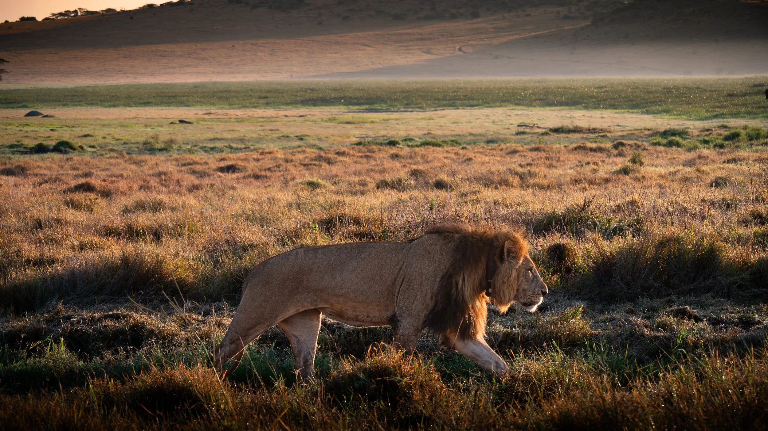 Getting Sharp Photographs in Low Light