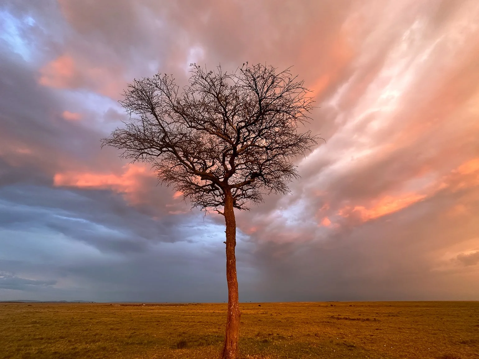 My Camera Settings for a Morning in the Maasai Mara