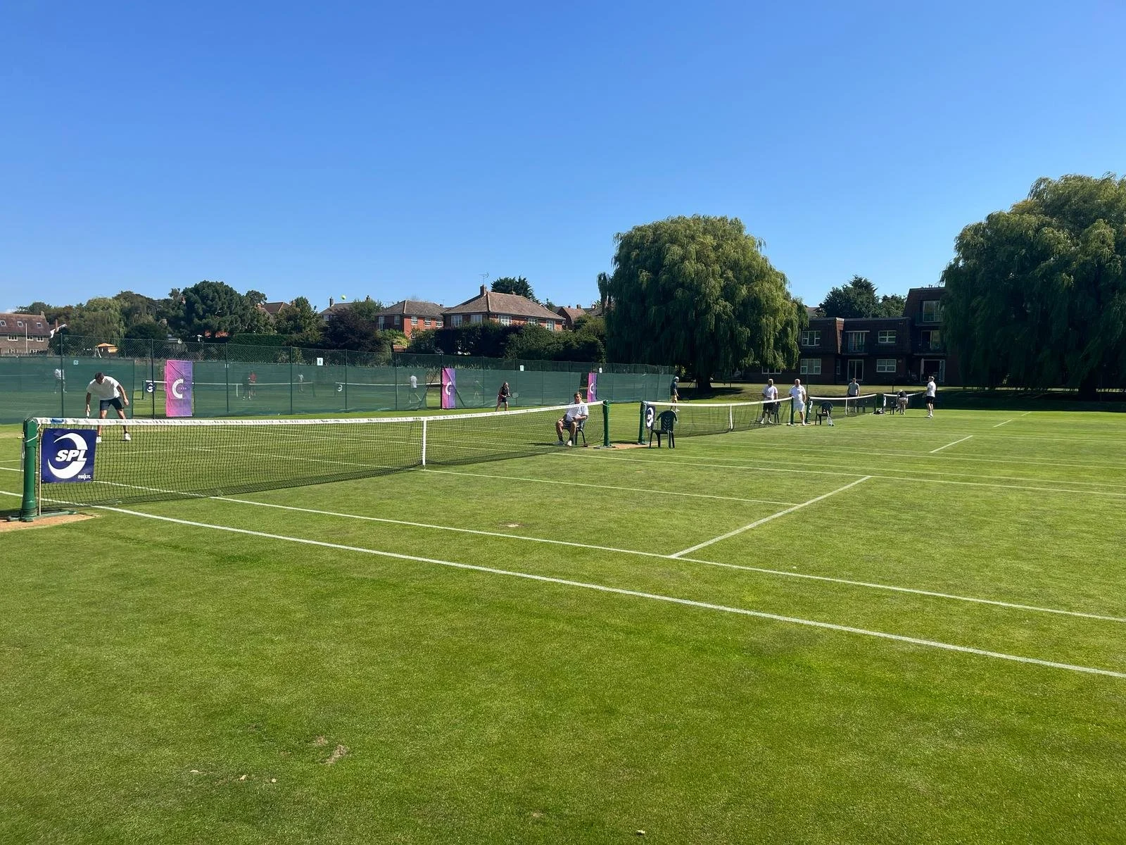 A group of people playing tennis on outdoor grass courts on a sunny day, with trees and houses in the background.