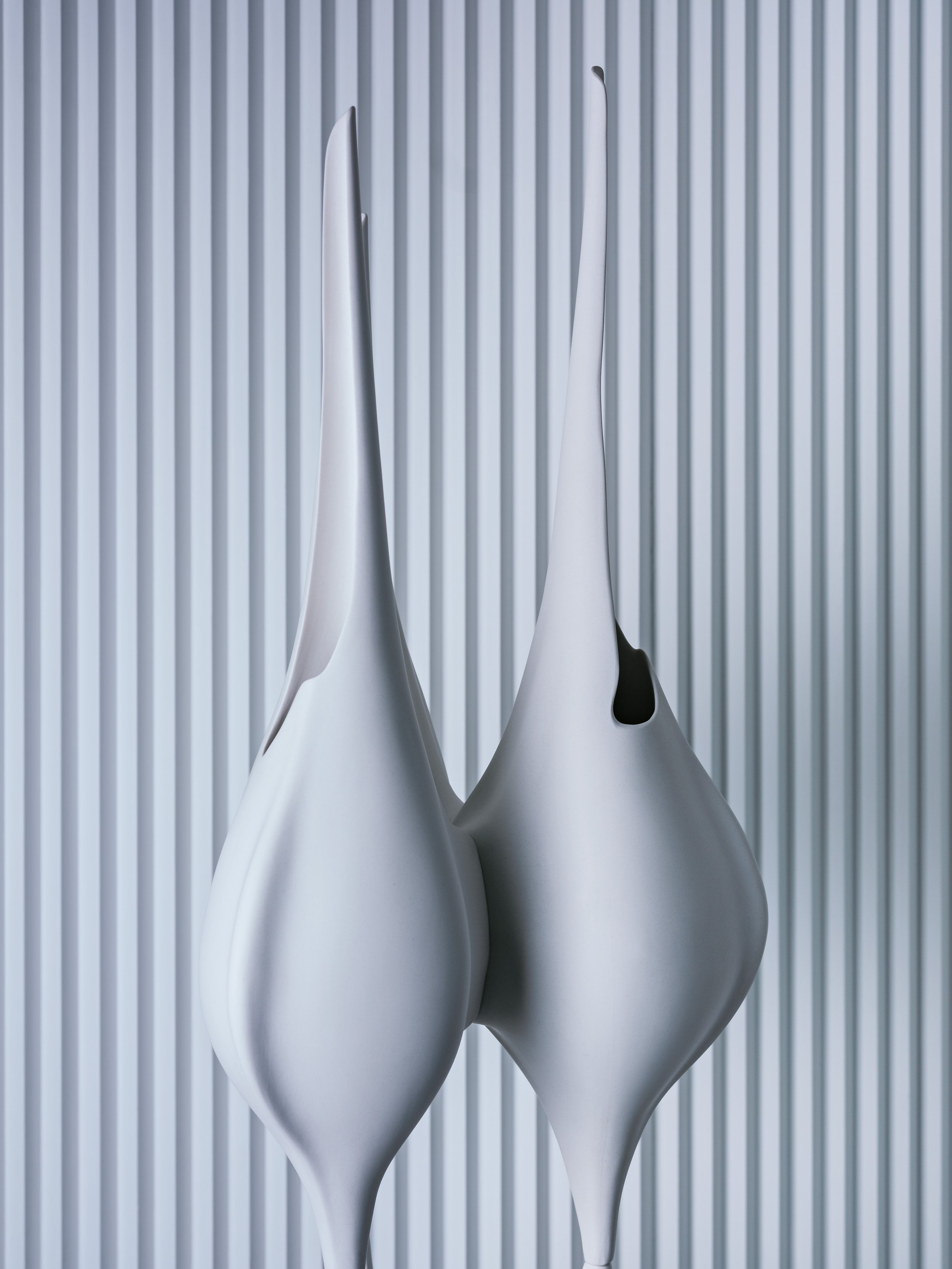 DSCF6112.jpg