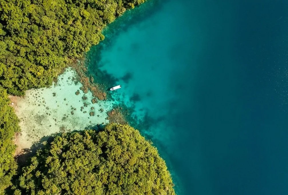 Vue aérienne d'une côte entourée de forêt dense, avec une plage peu profonde et un bateau au large.