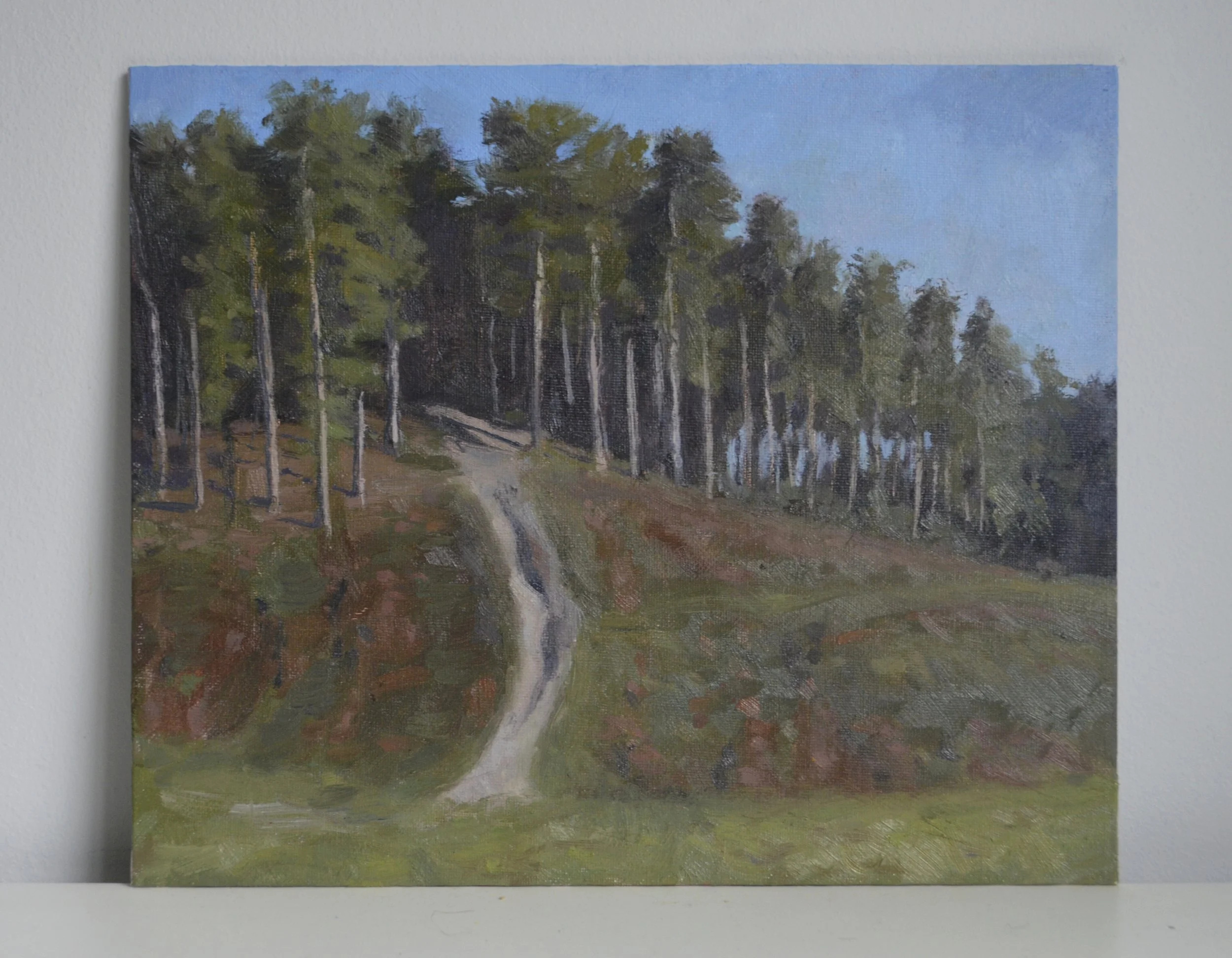 Bourne Wood Tree Hill