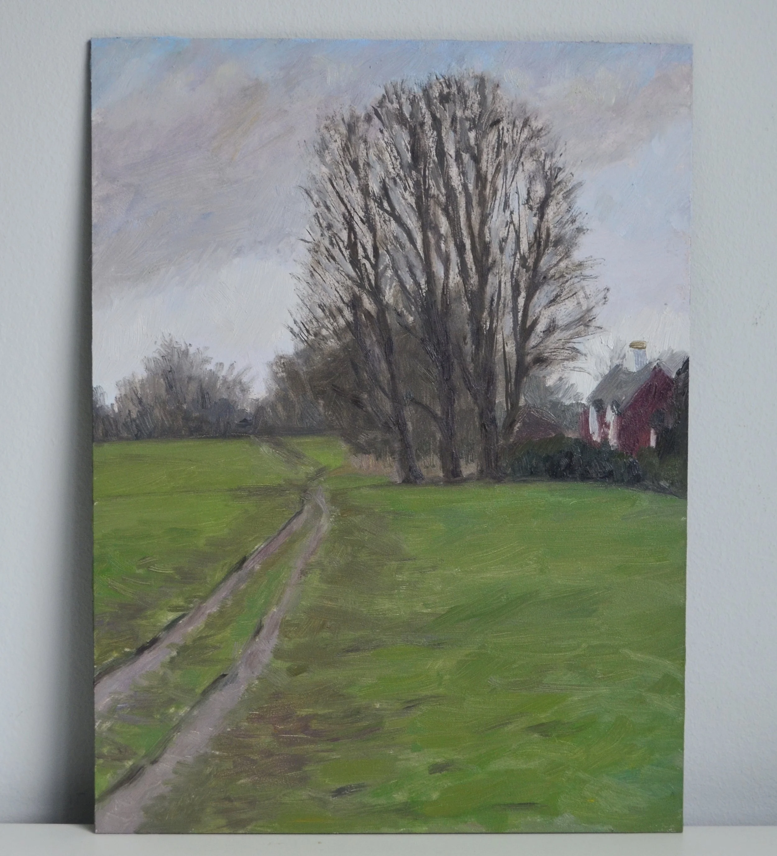 Merrow Downs in January