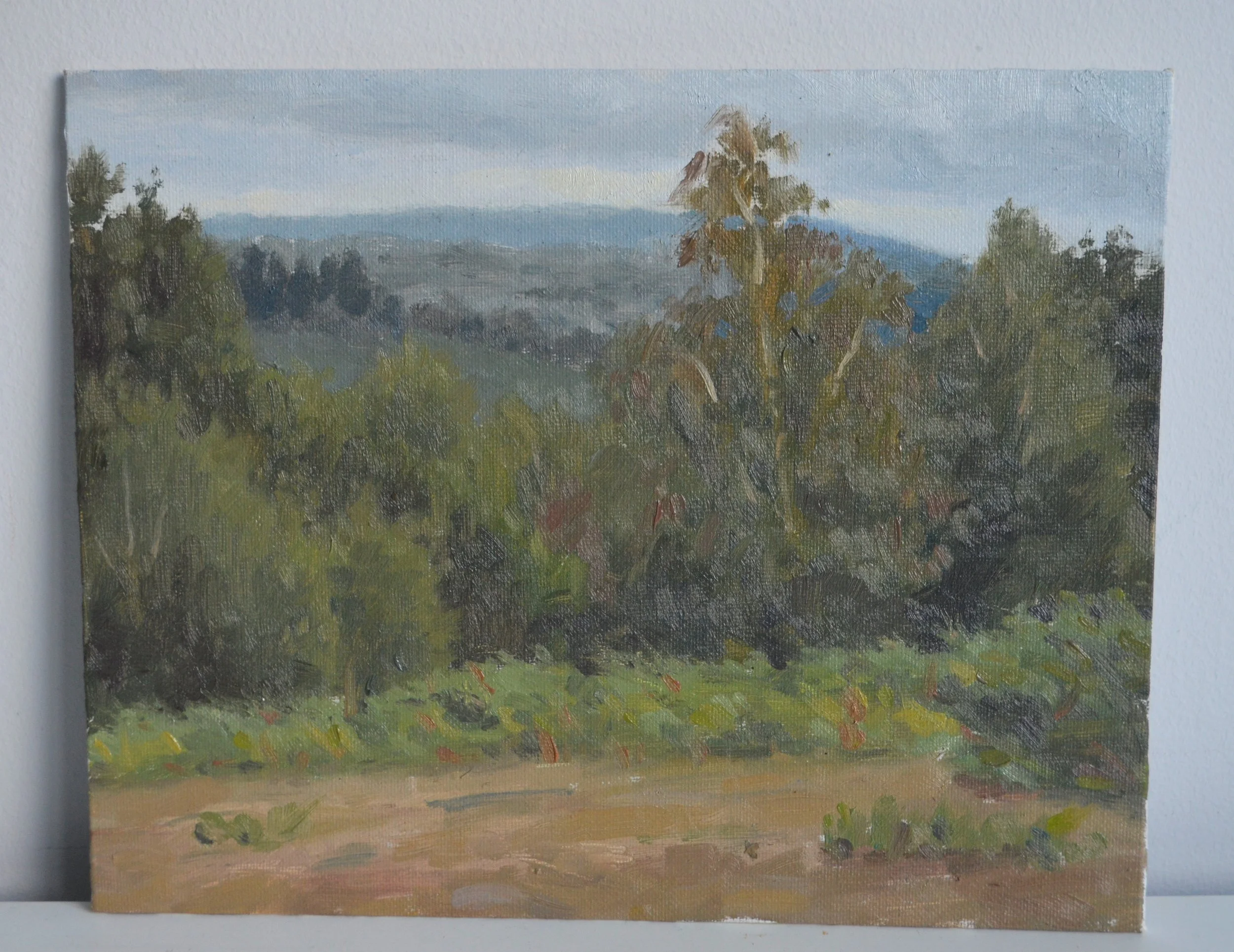 Surrey Hills through the trees