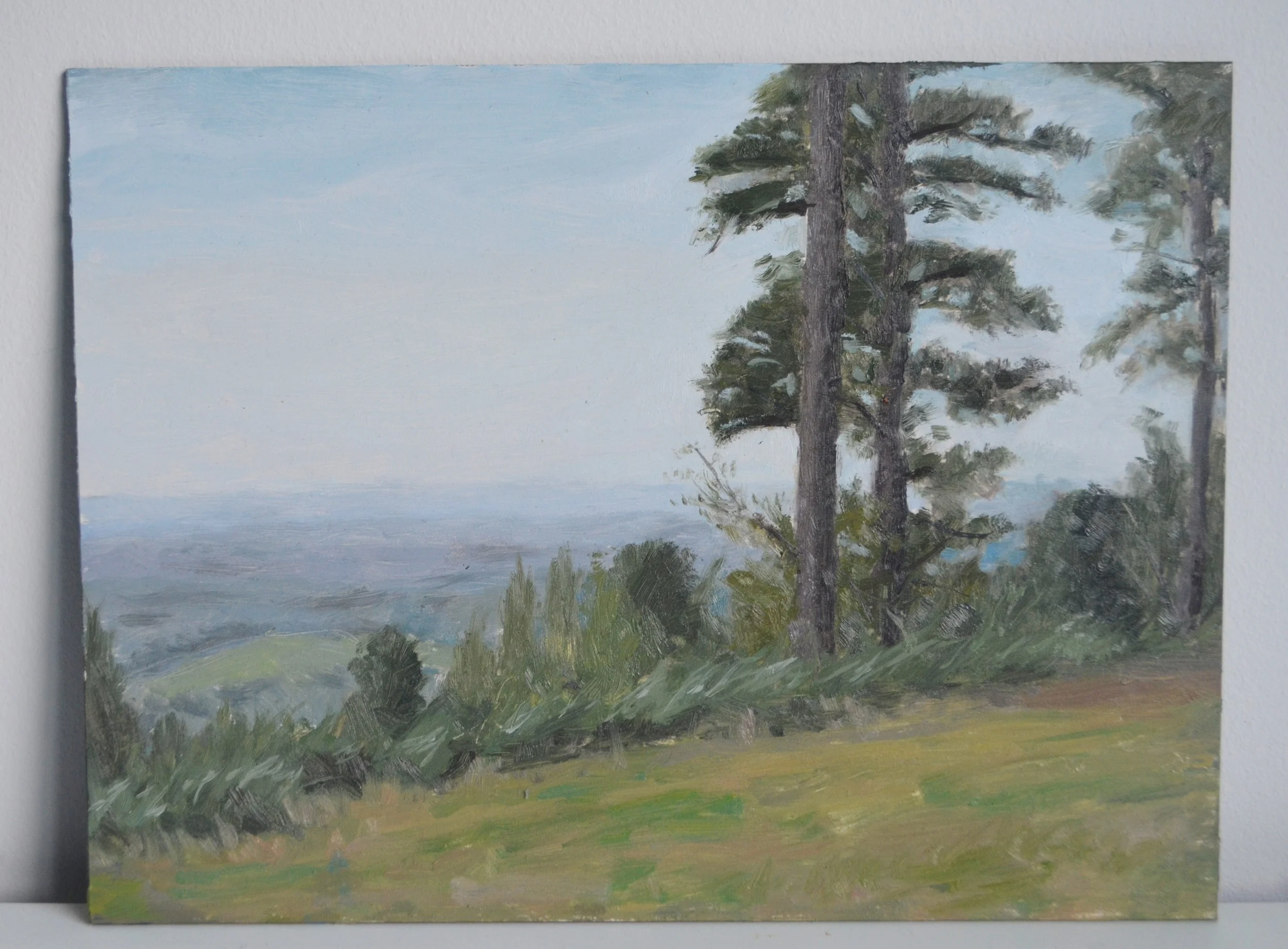 Leith Hill through the trees