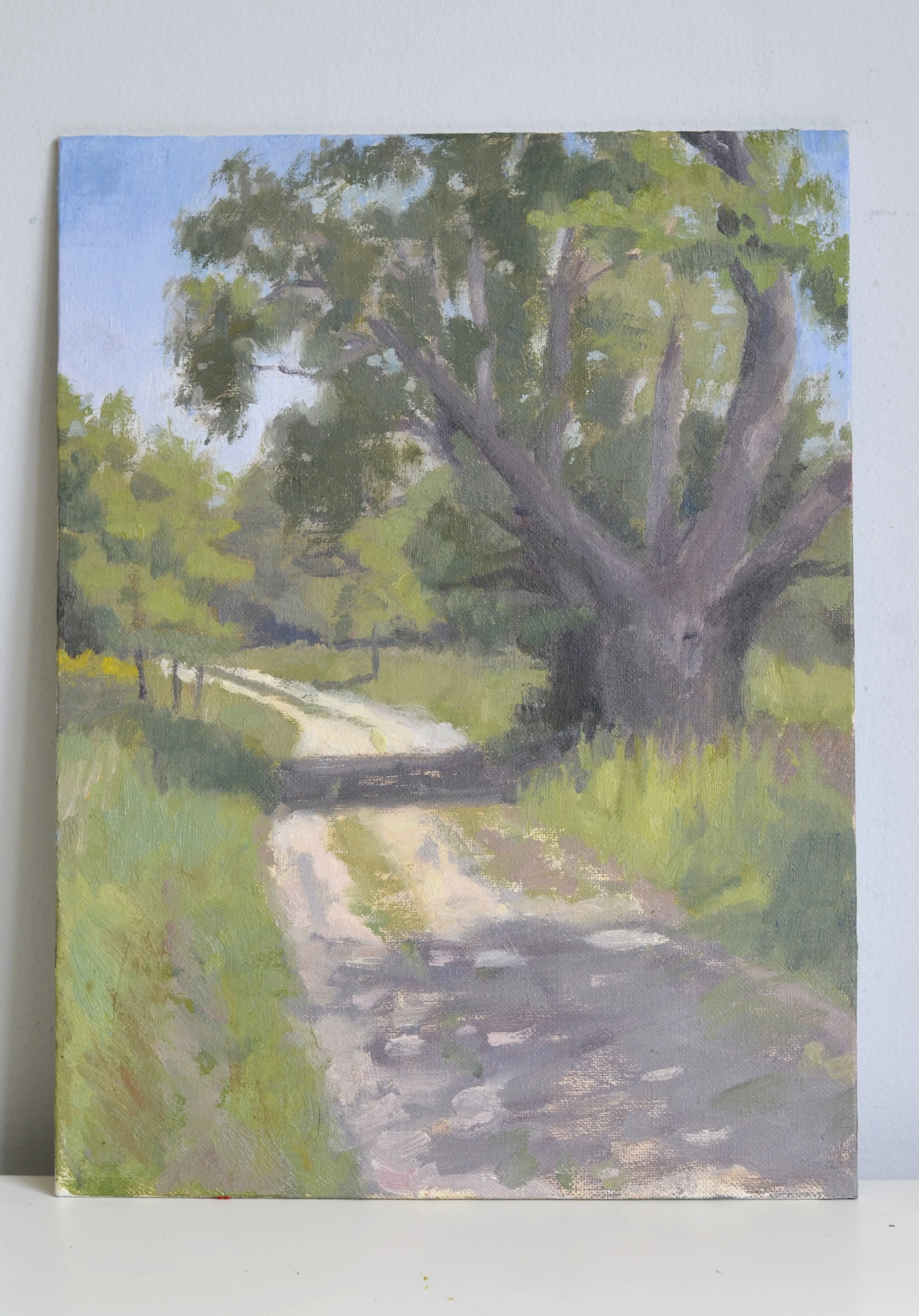 Shalford Tree Path