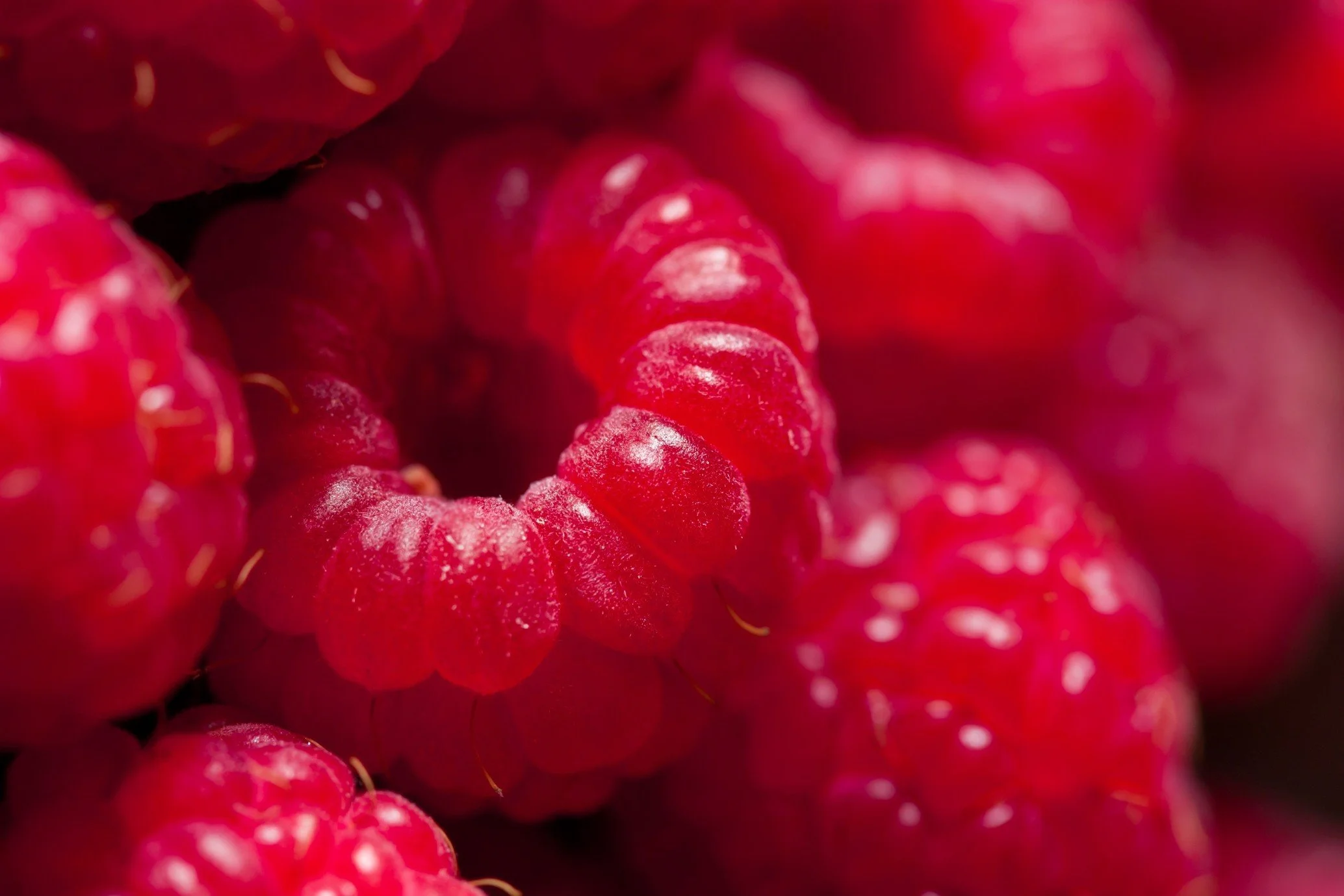 Berry Pickers &amp; Forklift Operators, Perth