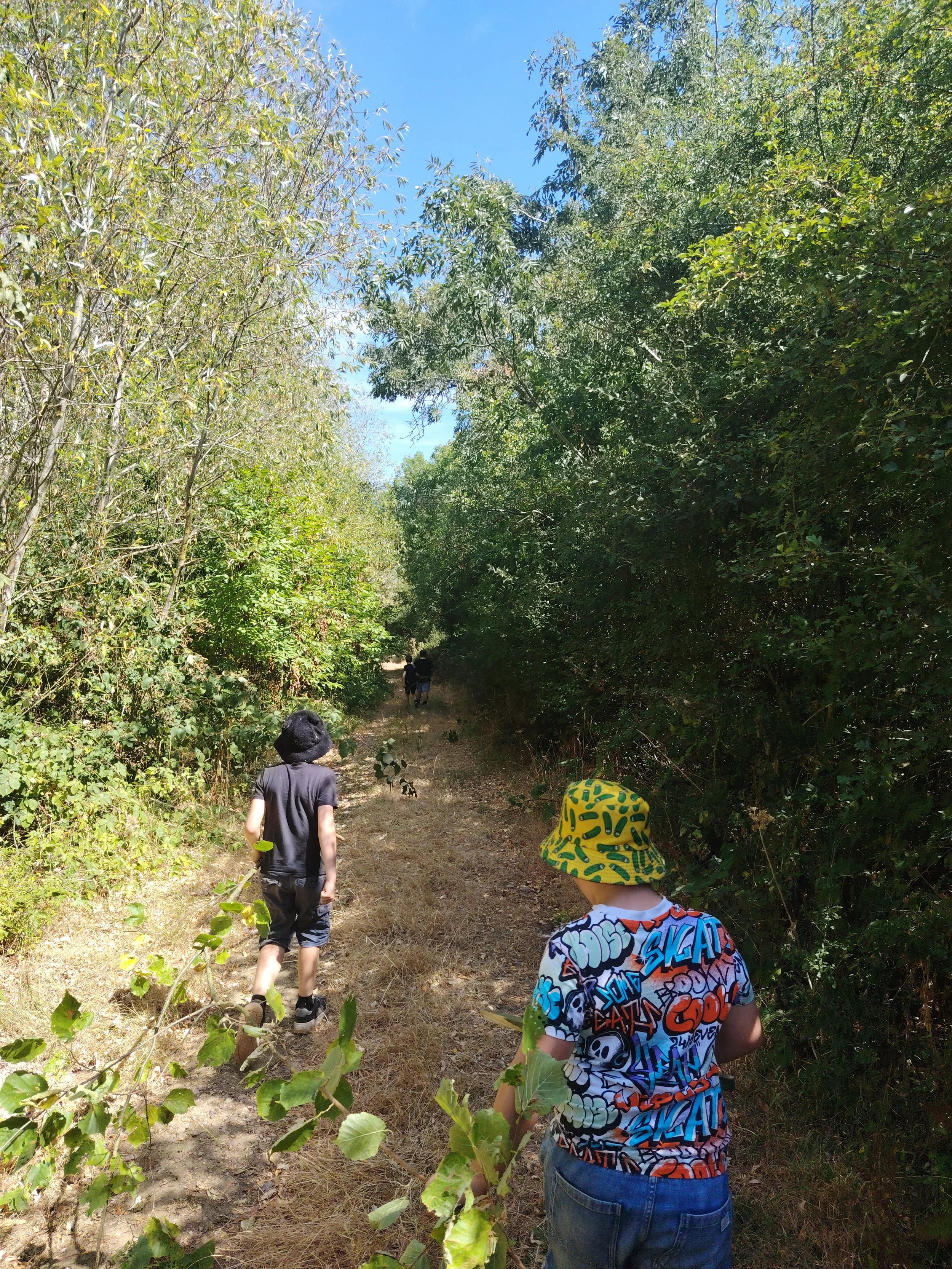 IMG_20260812_130236.jpg