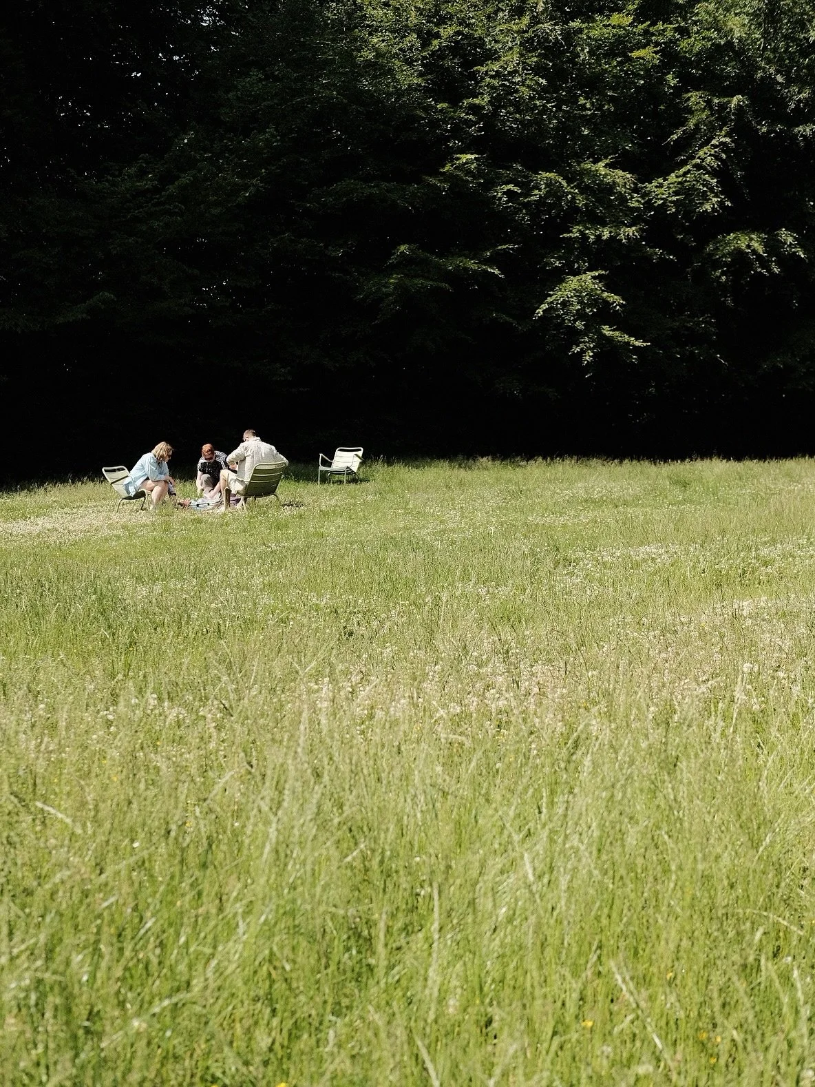 A dream life glows like morning sun,
In gardens where the day&rsquo;s begun&mdash;
With friends beside on grassy ground,
Where laughter hums, a gentle sound.

We sketch the breeze, the bloom, the sky,
With idle hands and spirits high.
No rush, no rac