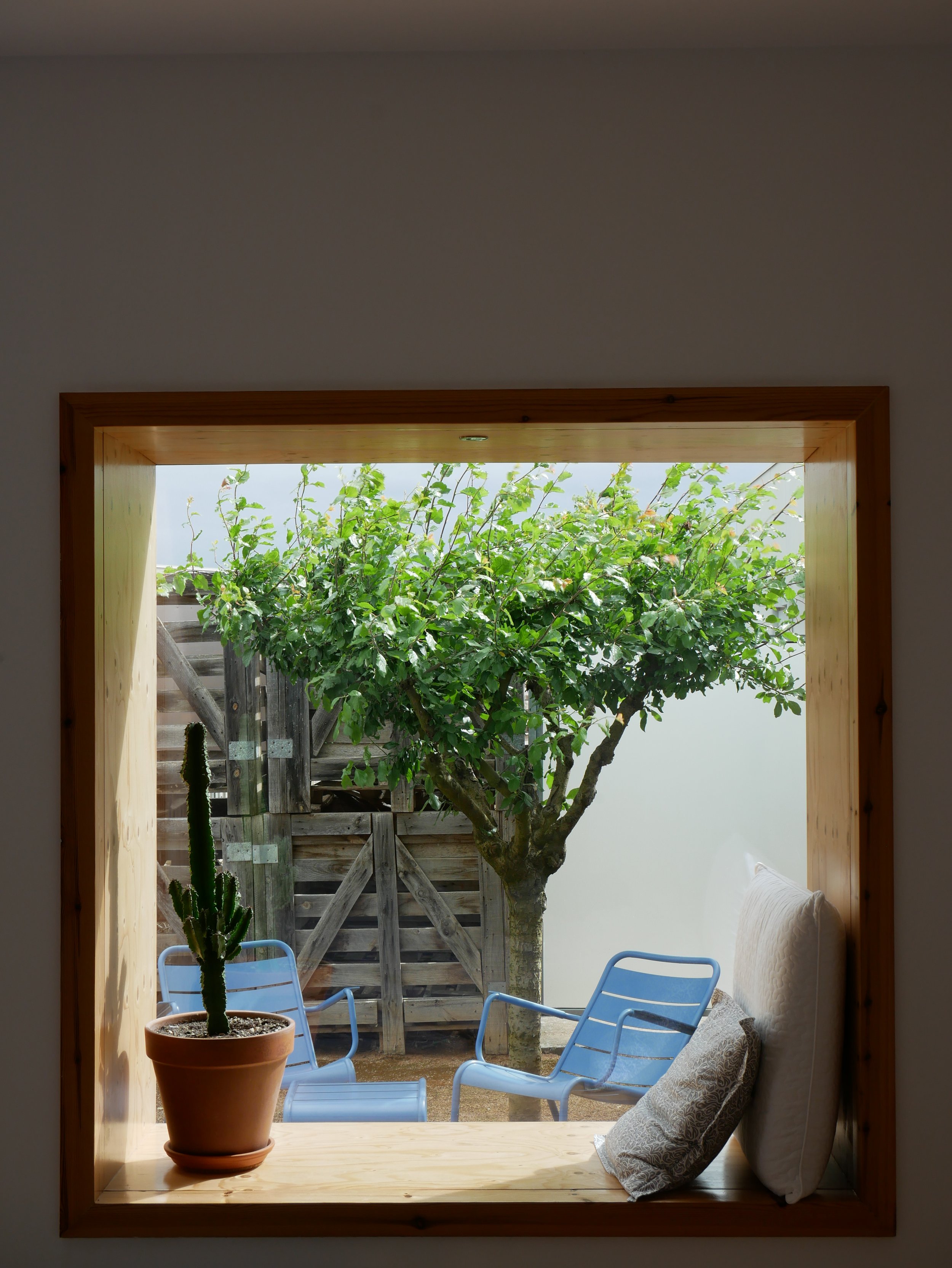 Vue depuis une fenêtre sur une terrasse avec un arbre vert, un cactus en pot, trois chaises bleues, un oreiller et un coussin, avec un panneau en bois et une clôture en bois à l'arrière.