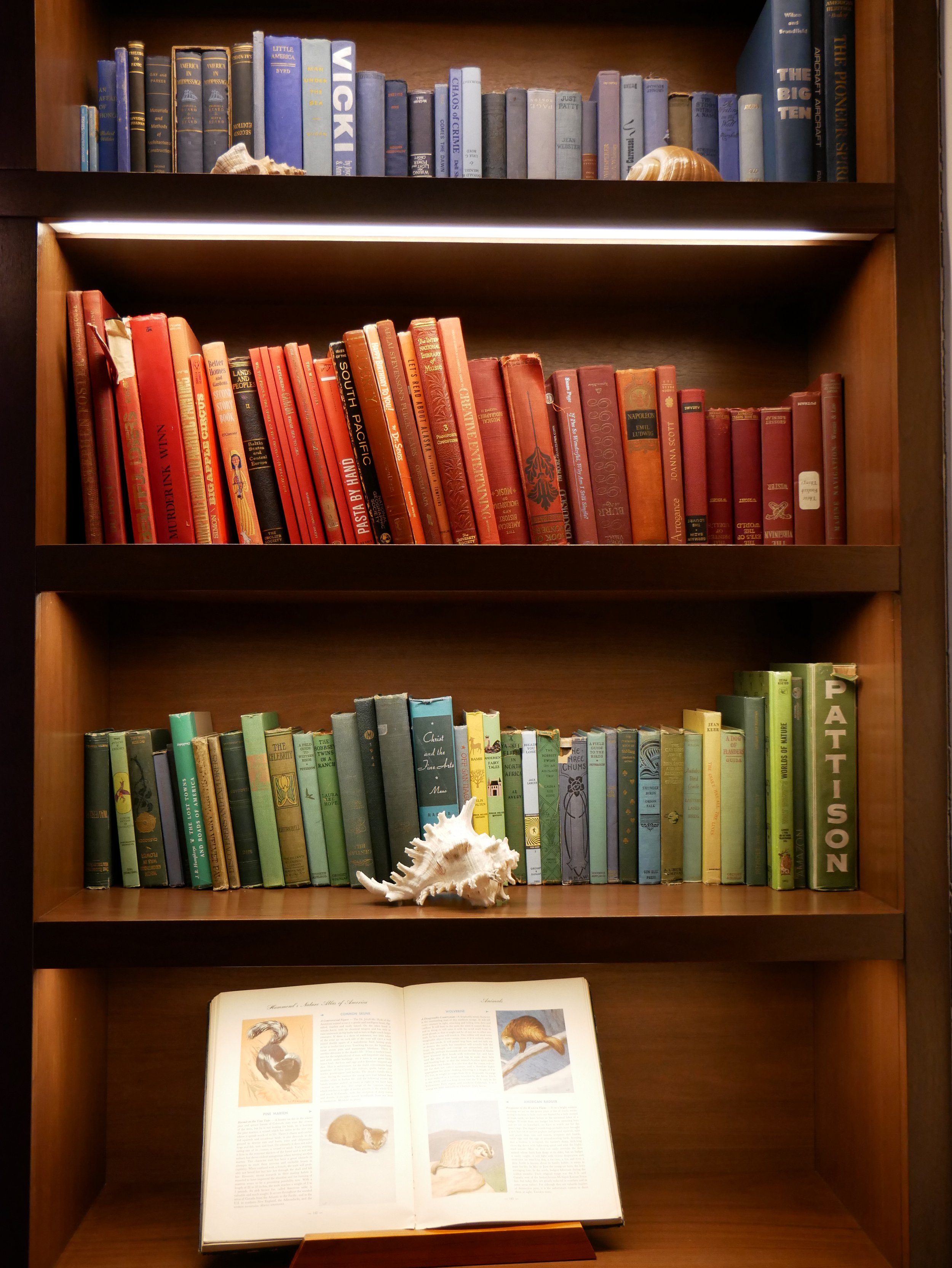 Une bibliothèque en bois avec trois étagères remplies de livres colorés, principalement en rouge, vert et bleu, avec un coquillage et un livre ouvert avec des images d'animaux.