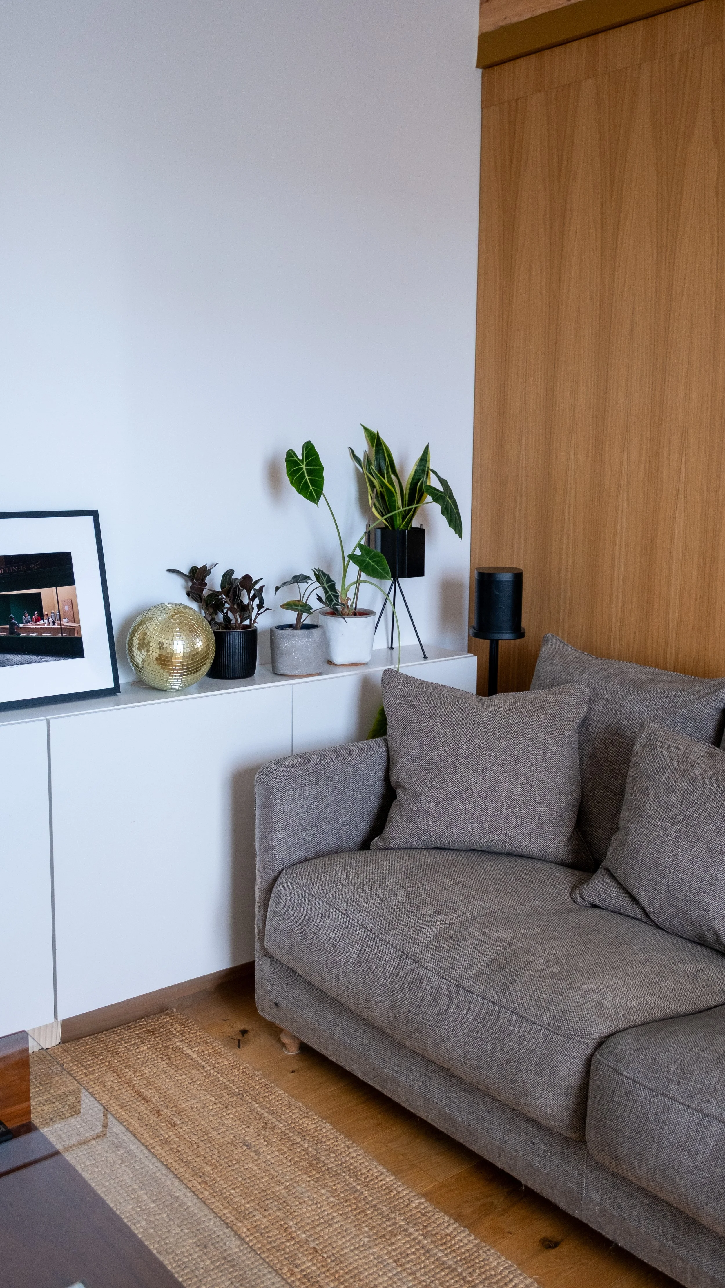 Coin salon moderne avec canapé gris modèle Lazare de AM PM, plantes en pot sur un meuble blanc, décorations et cadre photo, plancher en bois et mur en bois clair.