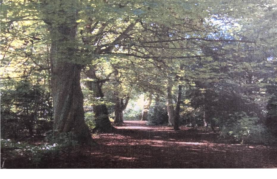 TWO MORE LUDICROUS SUGGESTIONS