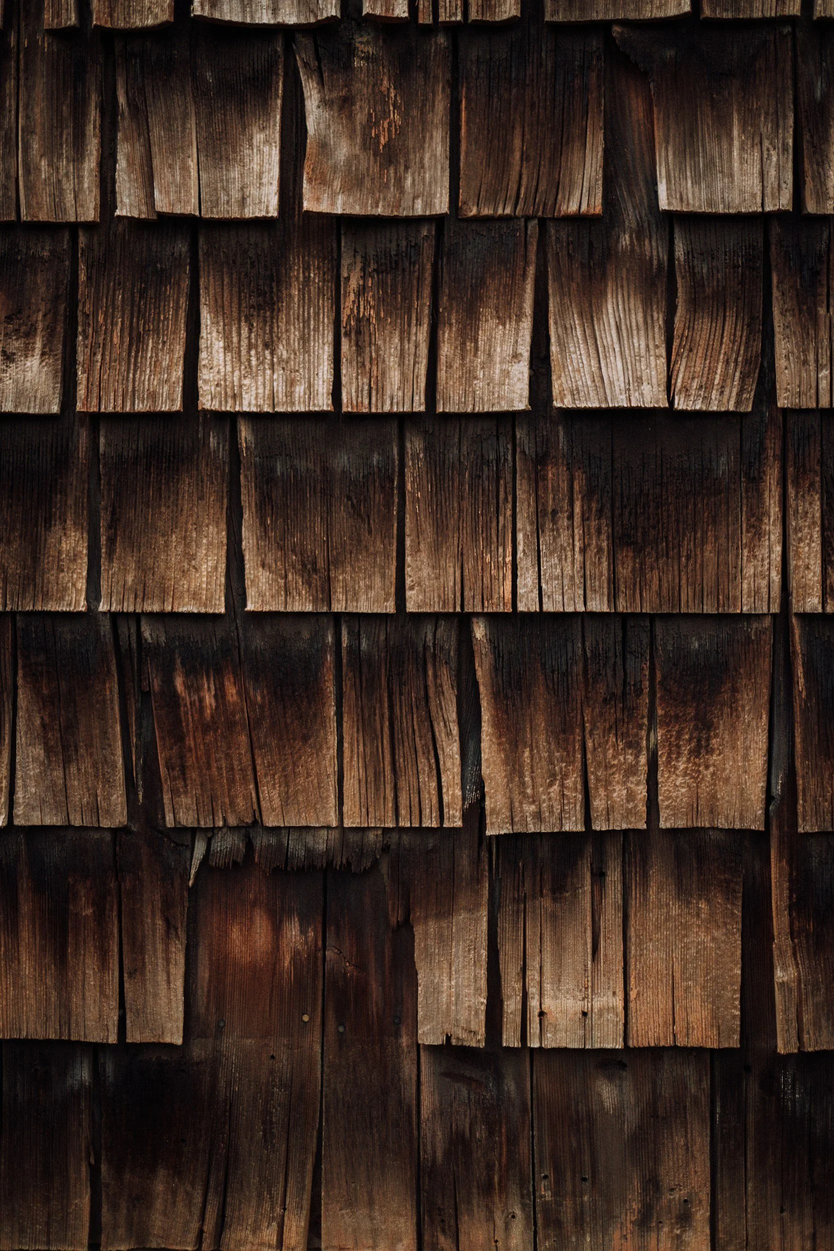 Close-up of weathered wooden shingles on a wall.