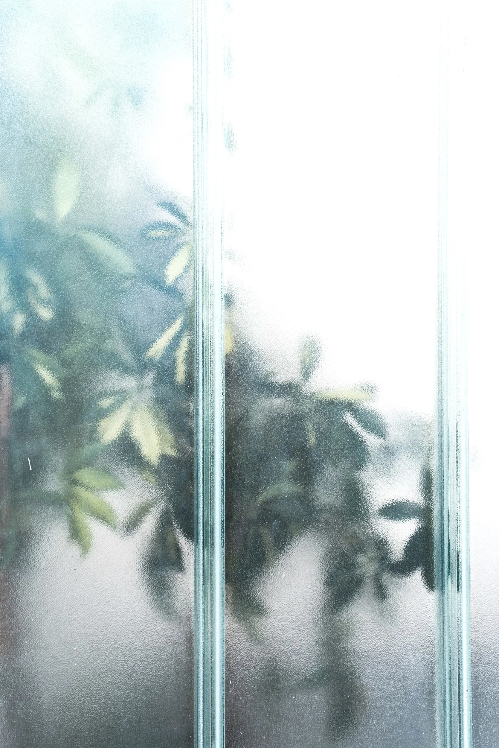 Frosted glass door with green leafy plant visible through the glass.