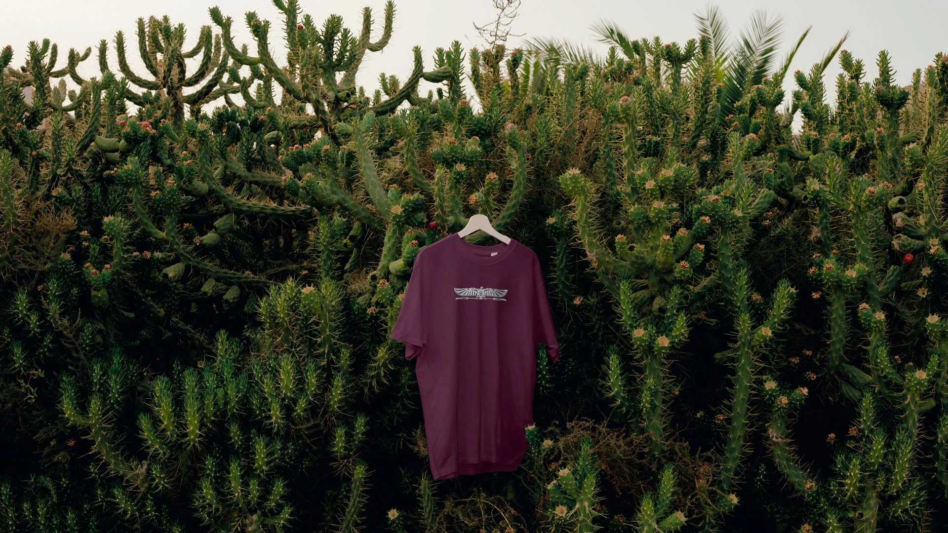 branding, logo, symbol, icon, photography, 3d mockups, brand applications, color, typography, design, art direction, copywriting, illustration, video, advertising, website, web design, UX/ui, USA, New York, portugal, France, fashion, modeling, fashio