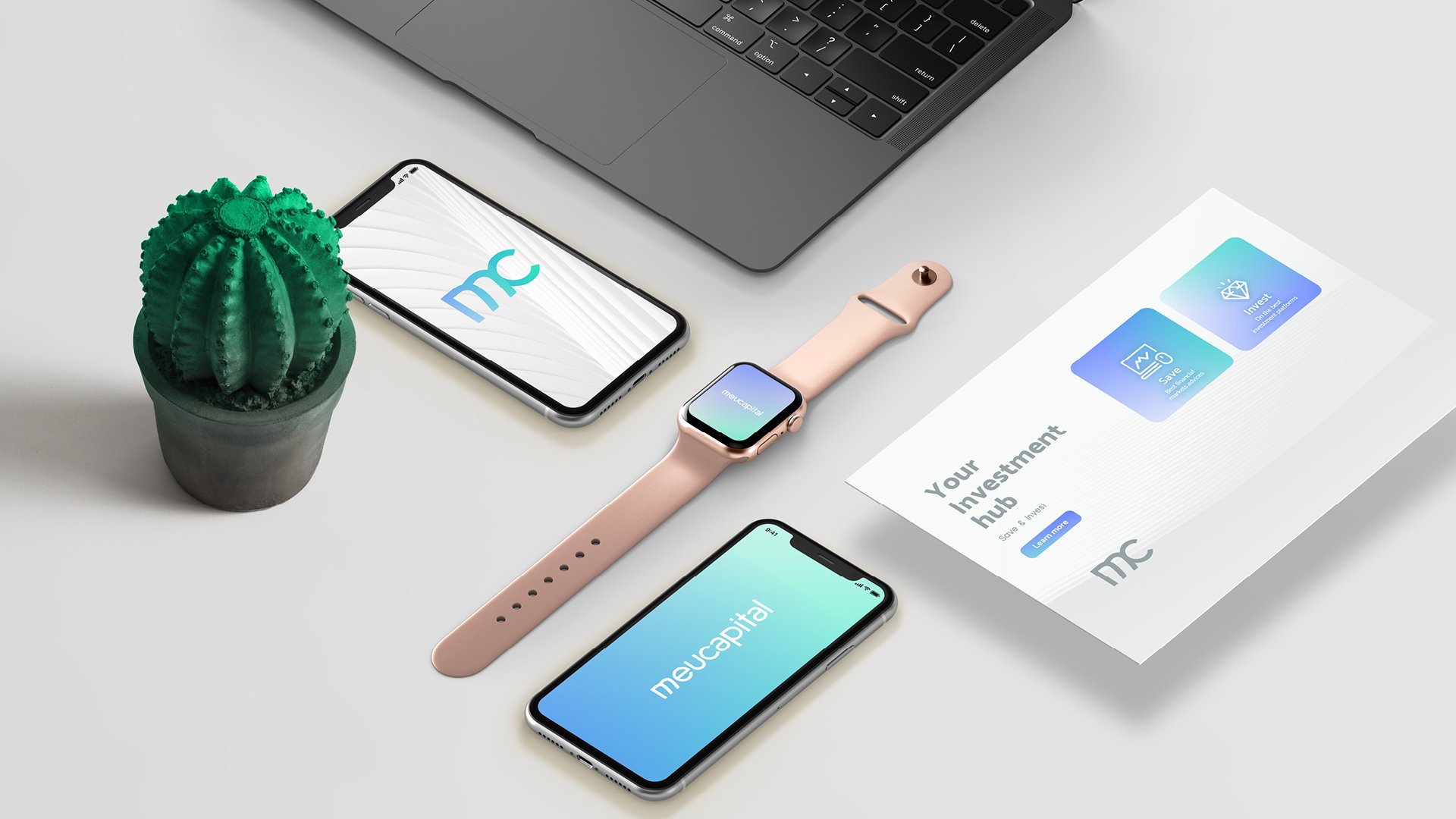 meucapital portefolio website damm.jpg