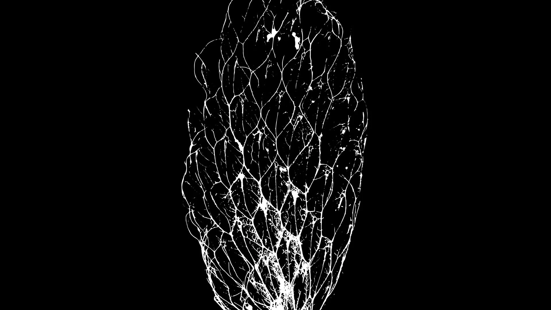 Editoria Design branding, logo, symbol, icon, photography, 3d mockups, brand appplications, color, typography, design, art direction, copywritting, illustration, video, advertising, New York