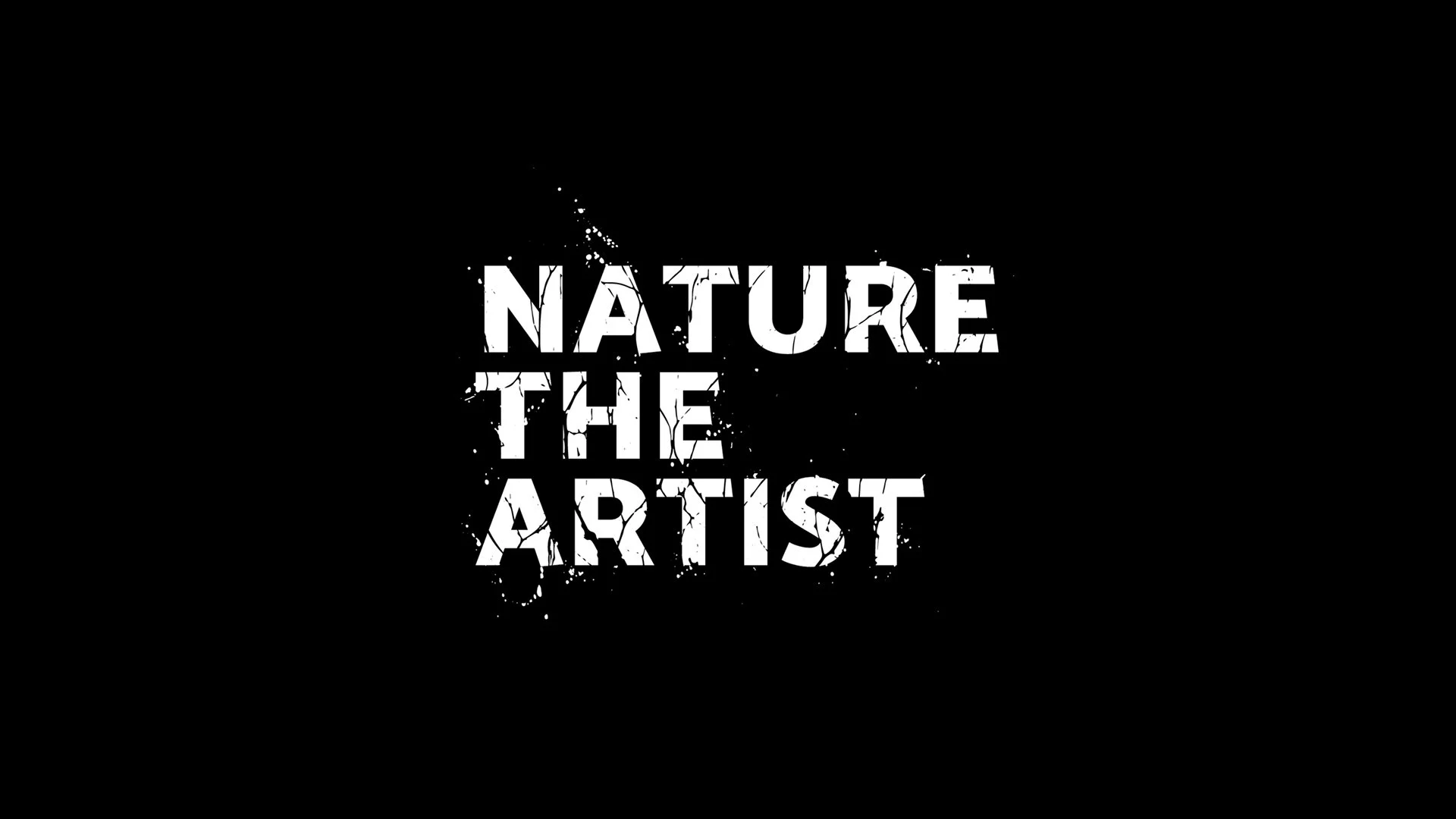 Editoria Design branding, logo, symbol, icon, photography, 3d mockups, brand appplications, color, typography, design, art direction, copywritting, illustration, video, advertising, New York